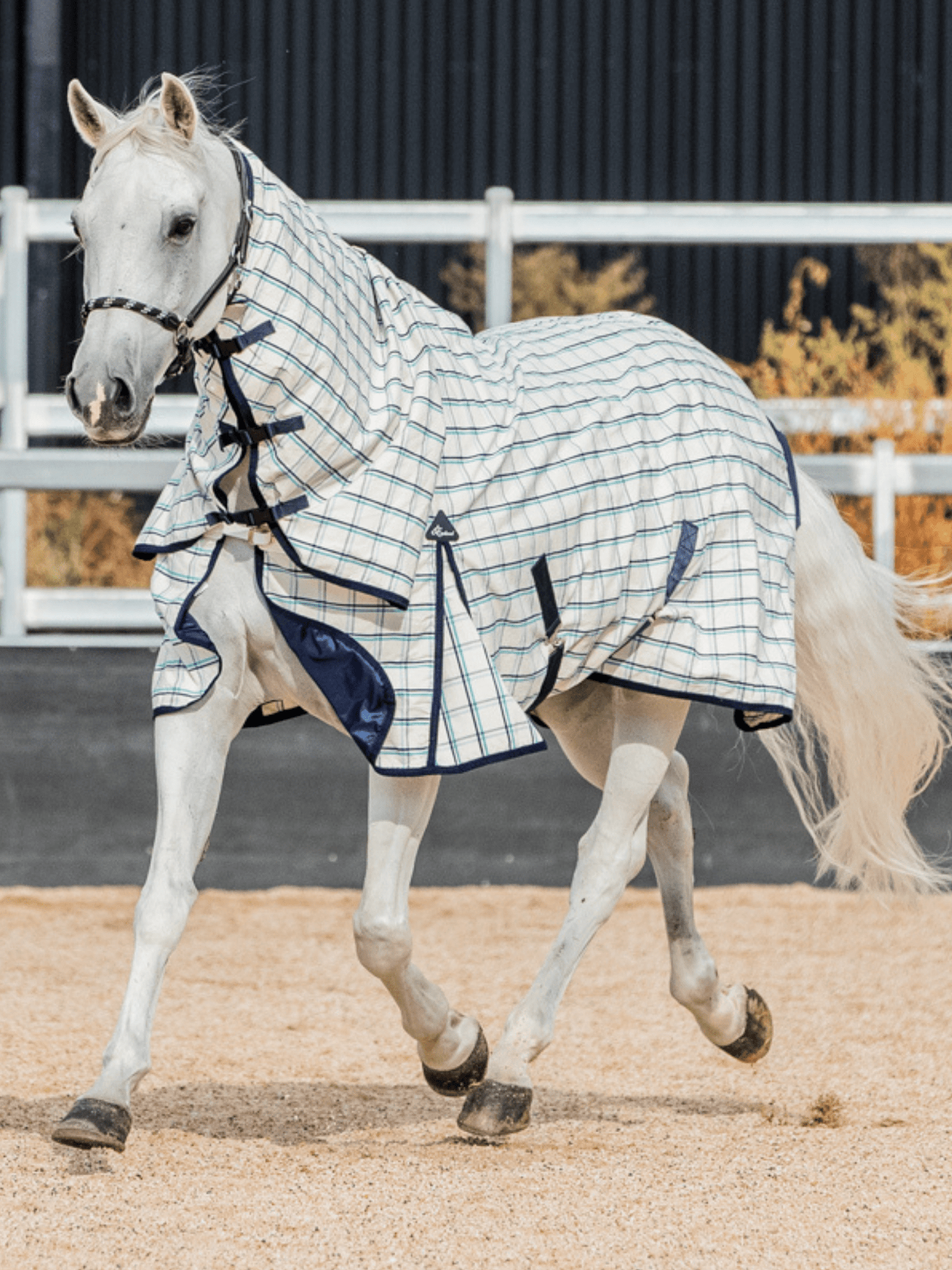 Earlwood Dual Season WOOL Lined Combo