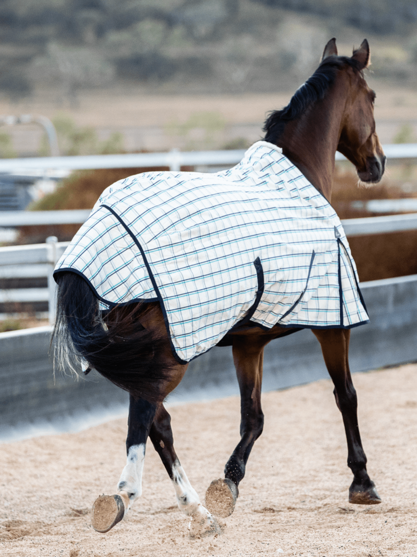 The Original Earlwood Dual Season WOOL Lined Rug