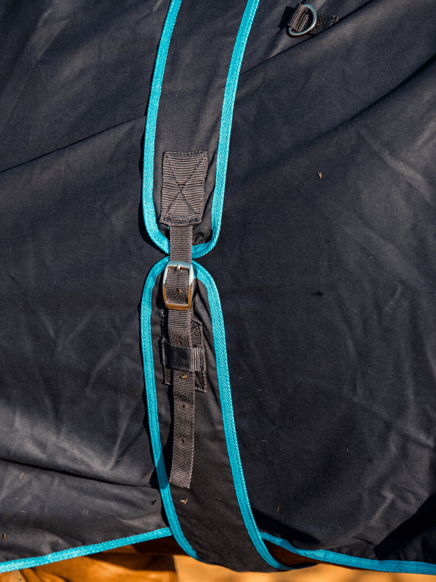 Earlwood Navy-Electric Blue Cotton Show Rug (Rug & Tail Bag only)