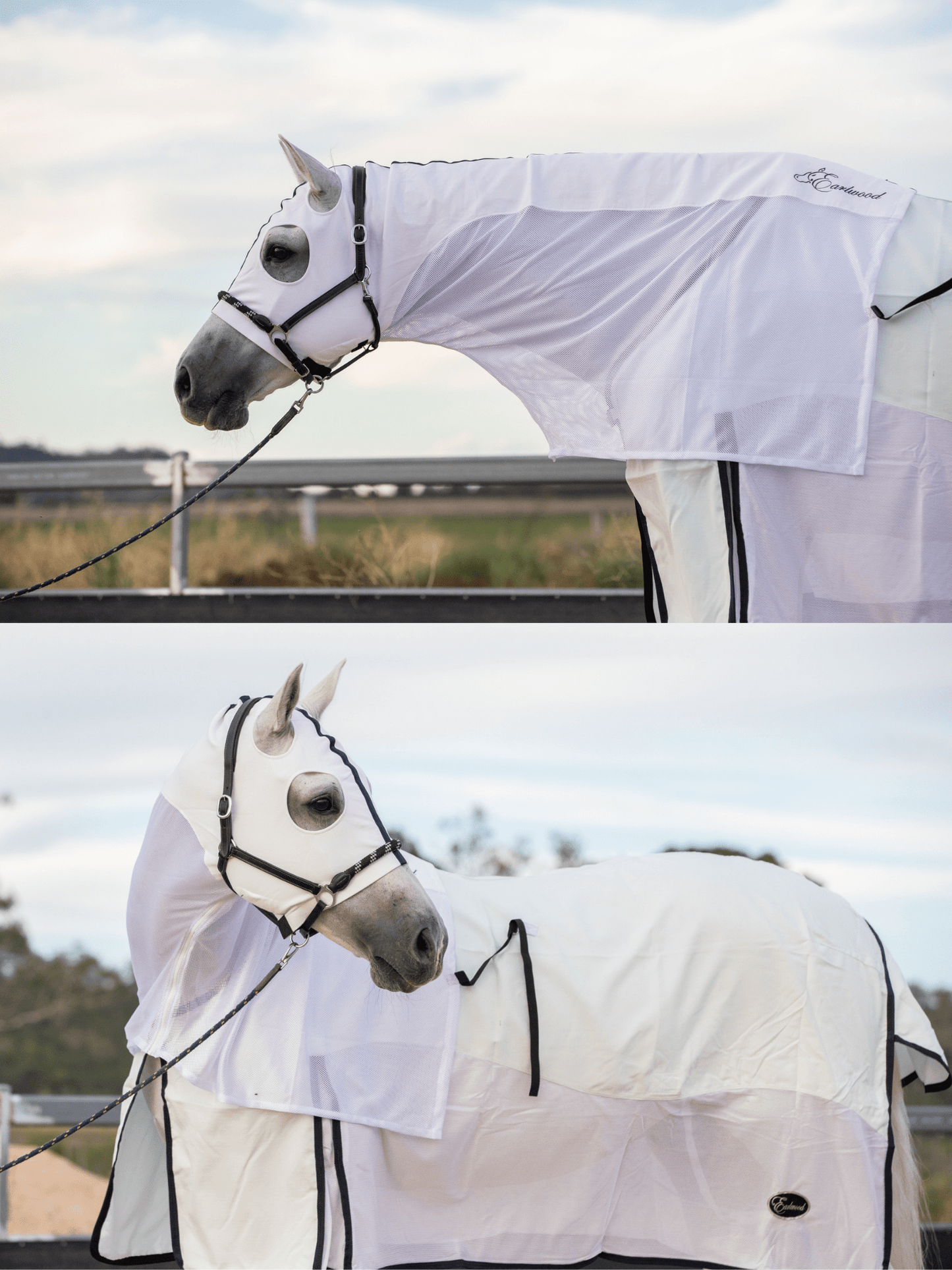 Earlwood White OR Black MESH Hoods