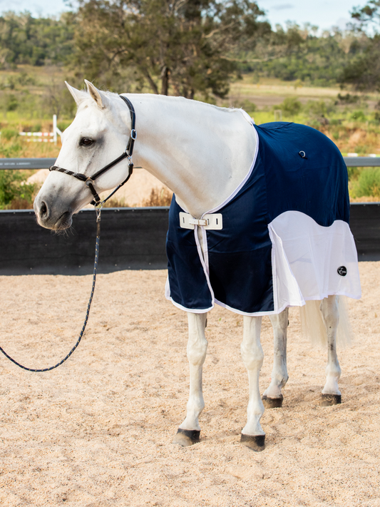Earlwood Navy/White Mesh Show Rug