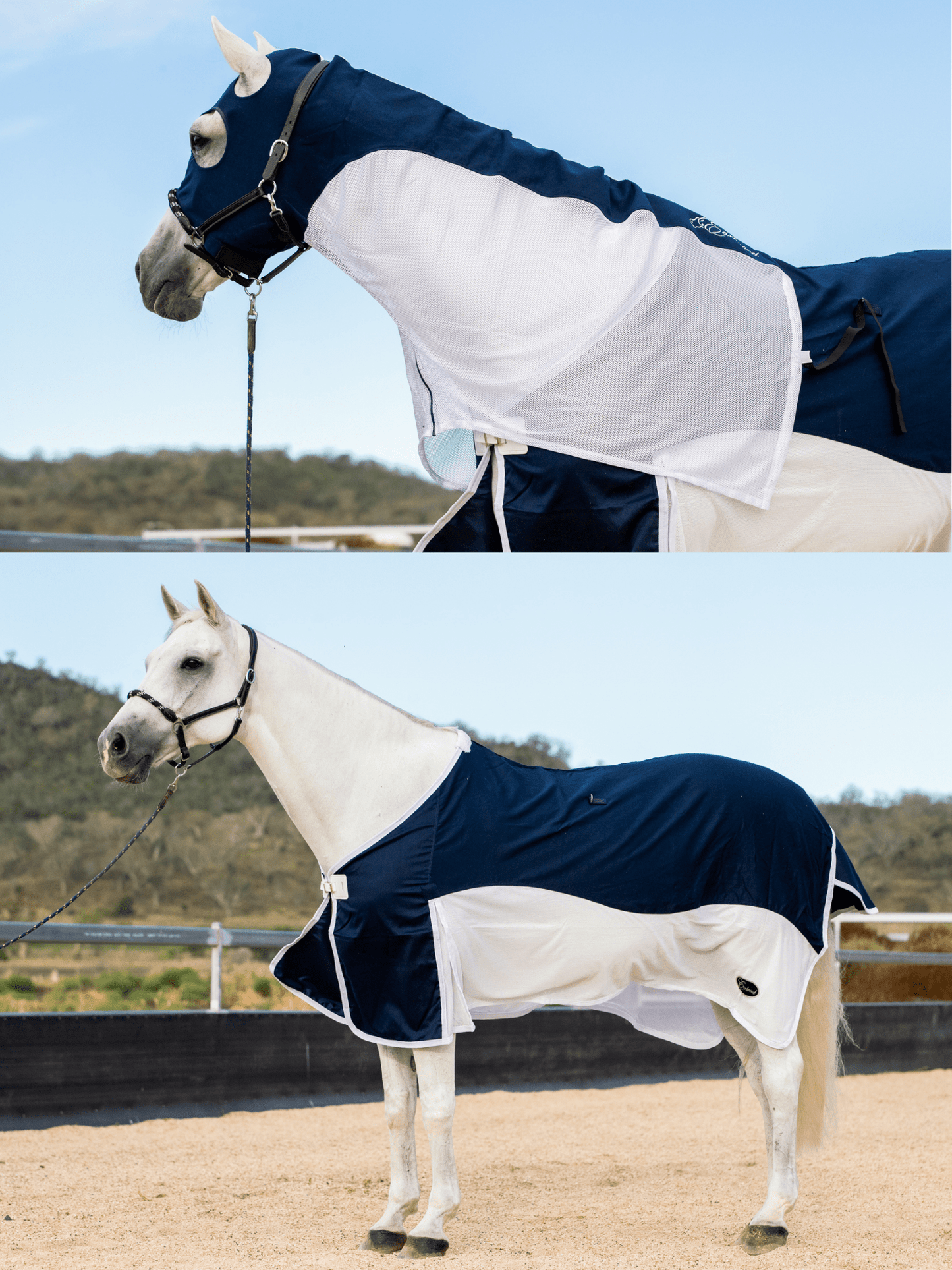 Earlwood Navy/White Mesh Show Rug