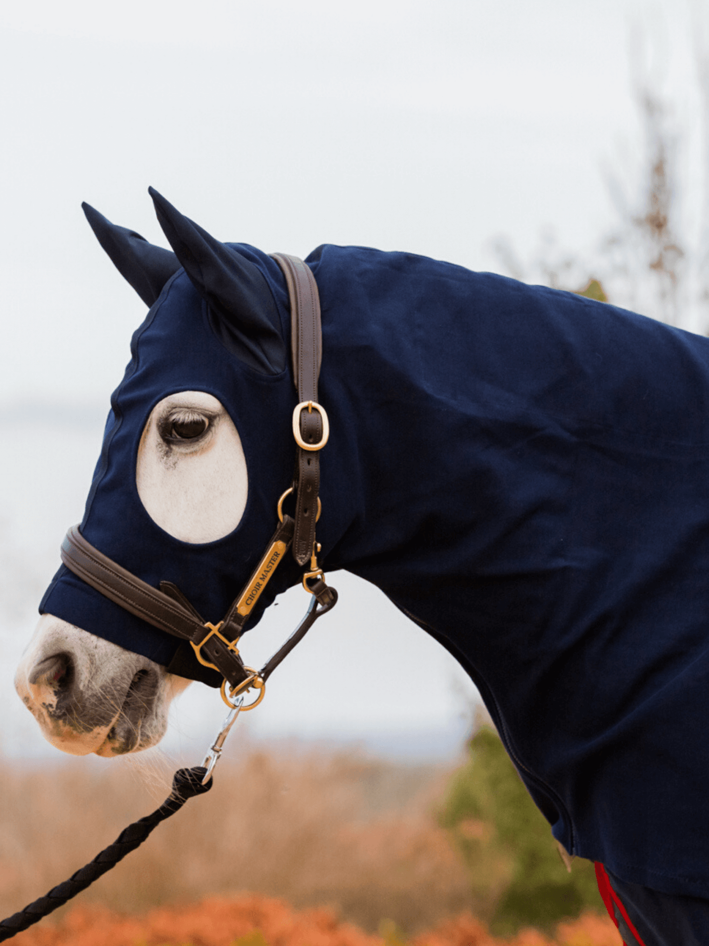 Earlwood Hood - ZIPPED UP - with EARS