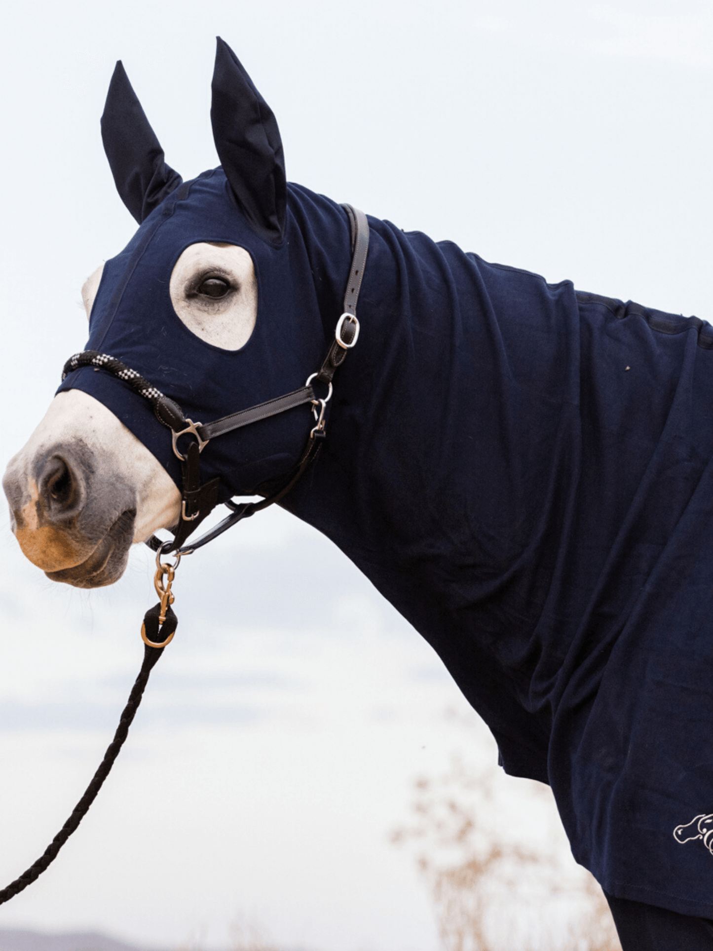 Earlwood Hood - ZIPPED UP - with EARS