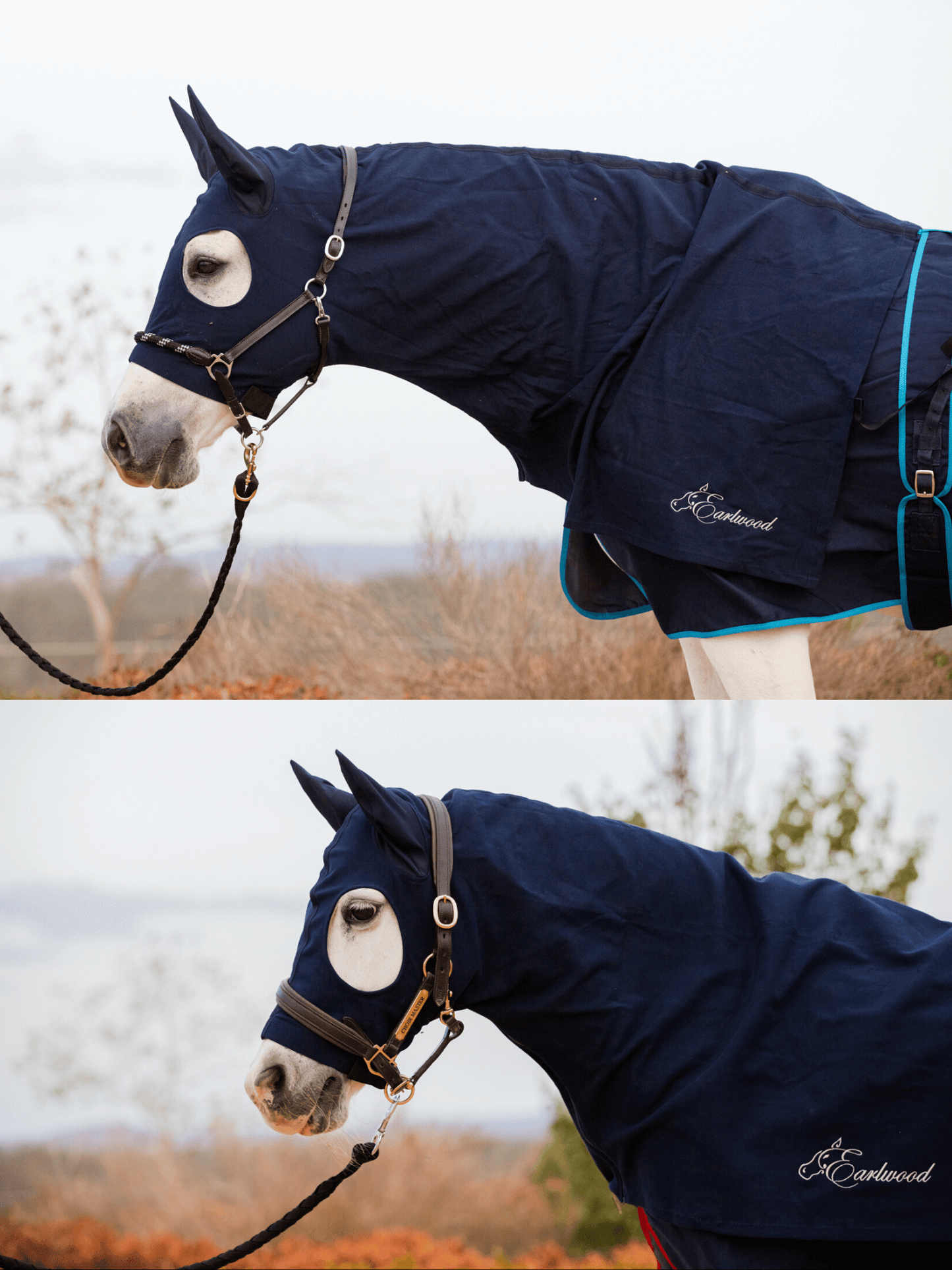 Earlwood Hood - ZIPPED UP - with EARS