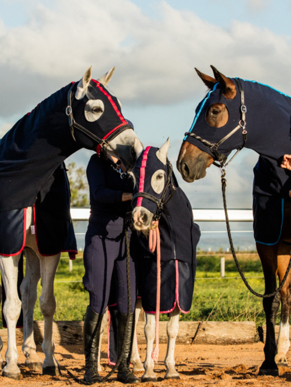 Earlwood Navy-Pink Cotton Show Rug