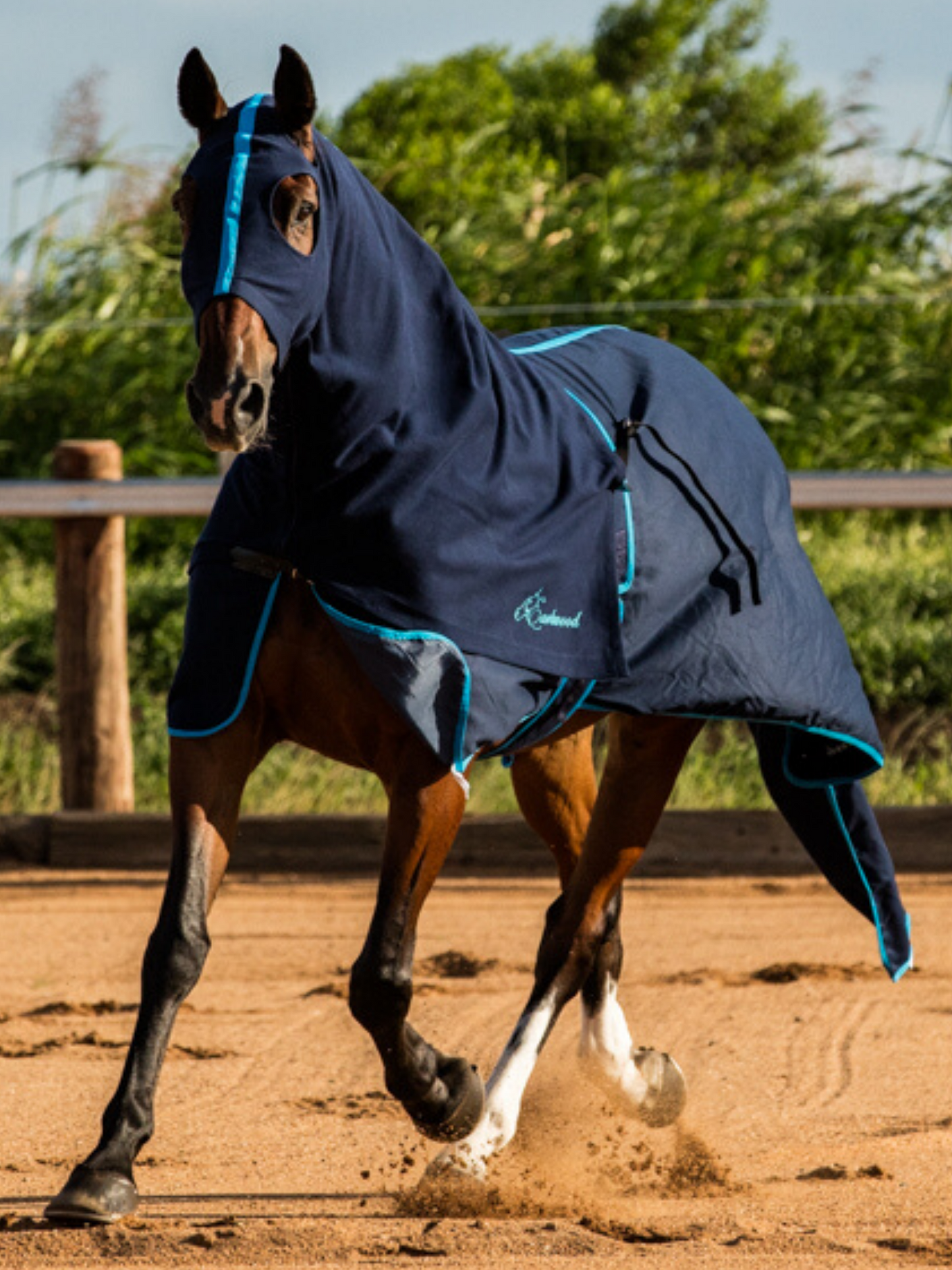 Earlwood Navy-Electric Blue Cotton Show Rug (Rug & Tail Bag only)