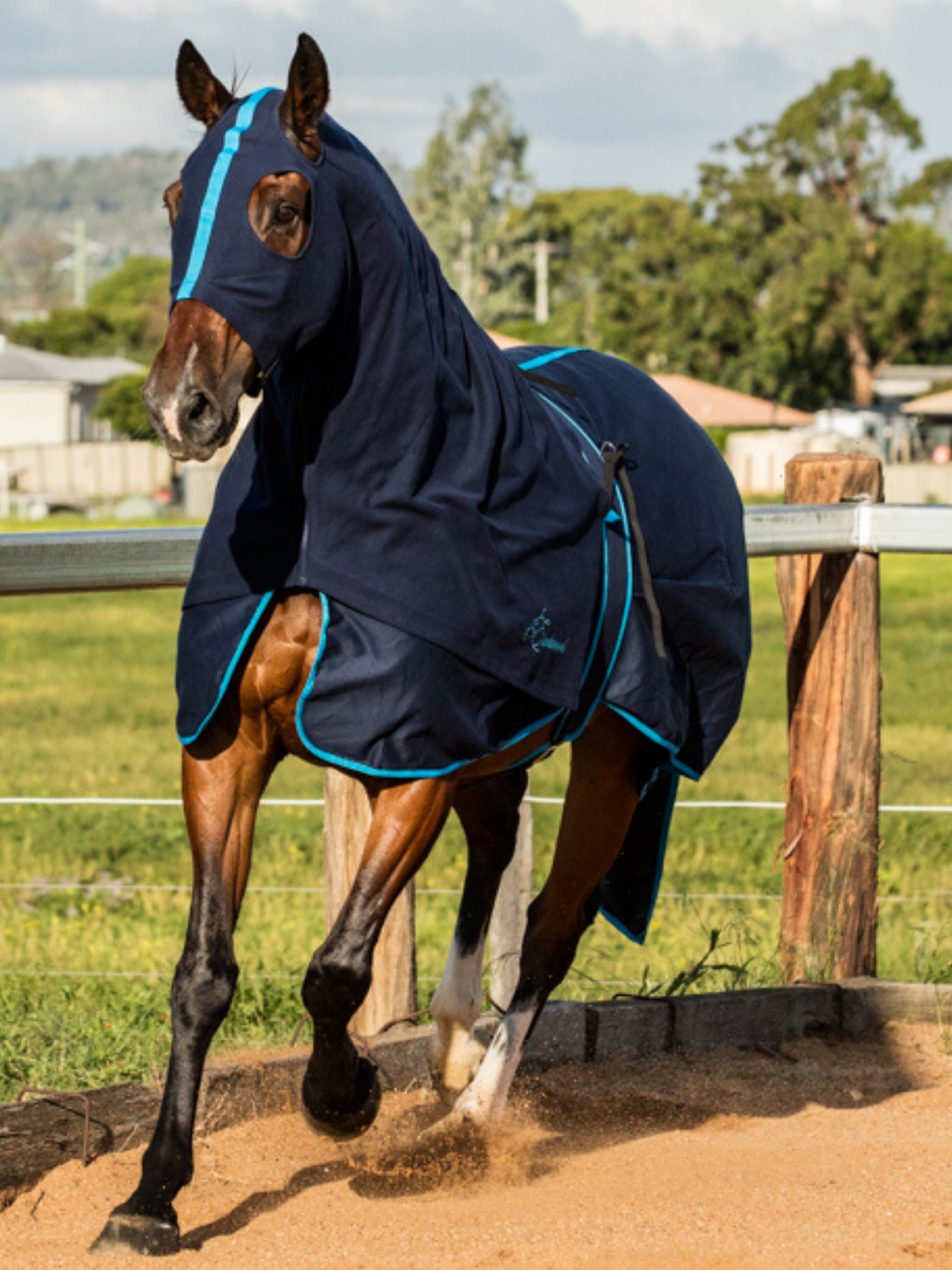 Earlwood Navy-Electric Blue Cotton Show Rug (Rug & Tail Bag only)