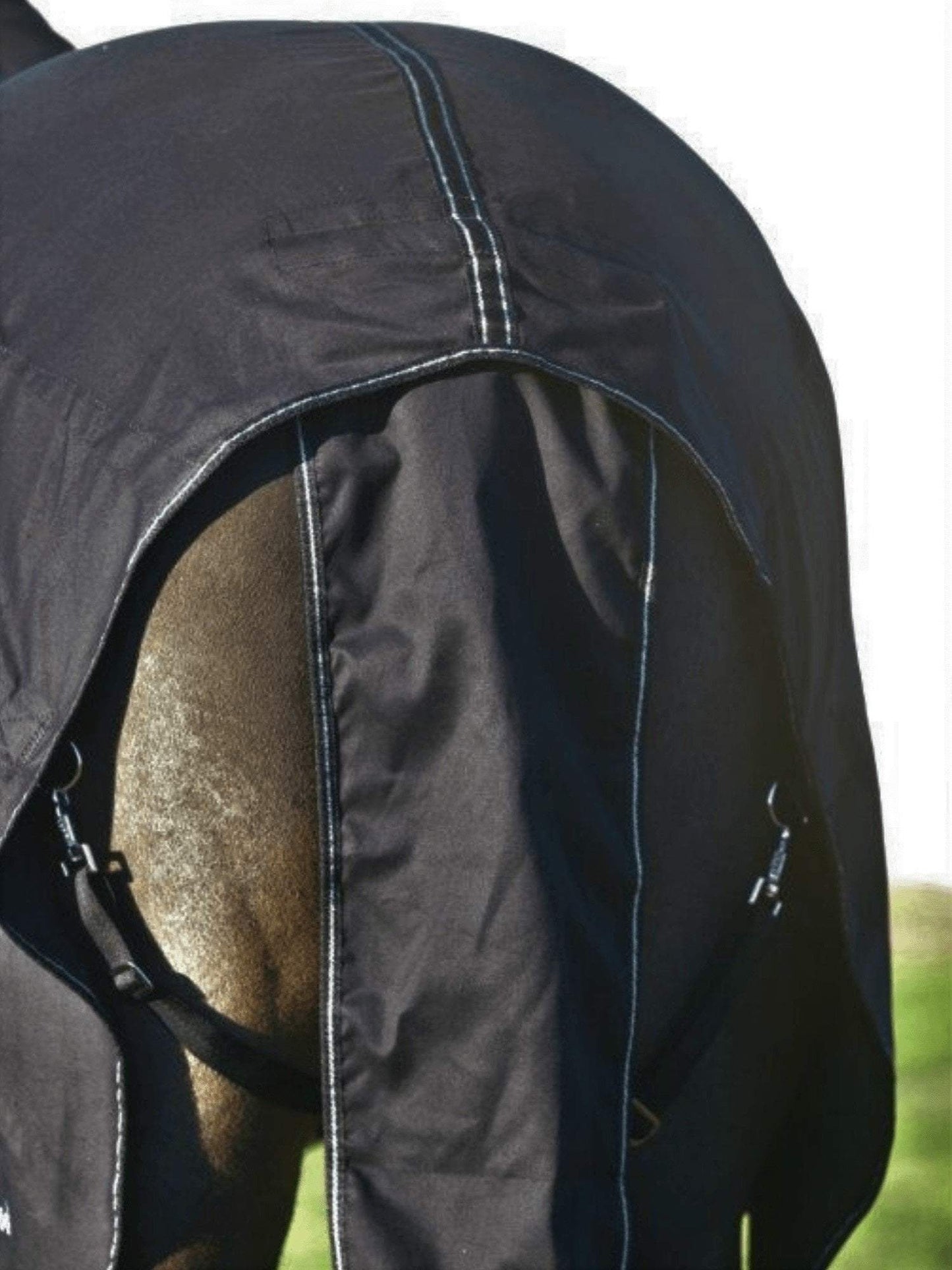 Horses in Earlwood Black Label Cotton Show Rug