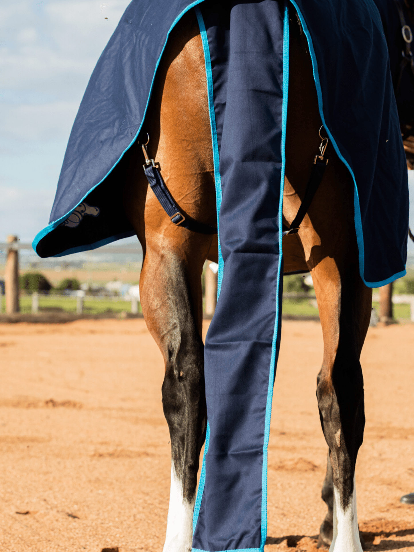 Earlwood Navy-Electric Blue Cotton Show Rug (Rug & Tail Bag only)
