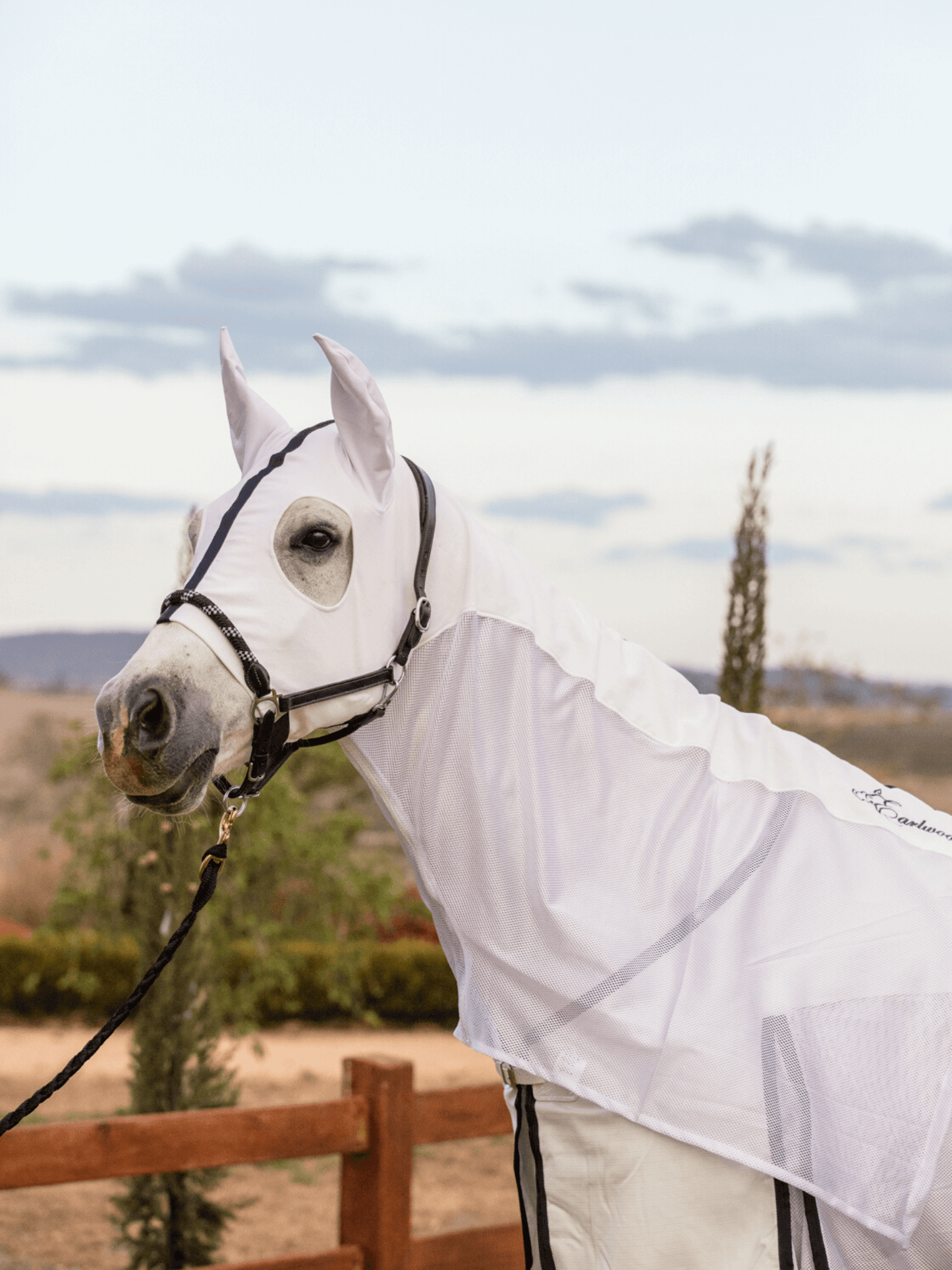 Earlwood White MESH Hood - with EARS