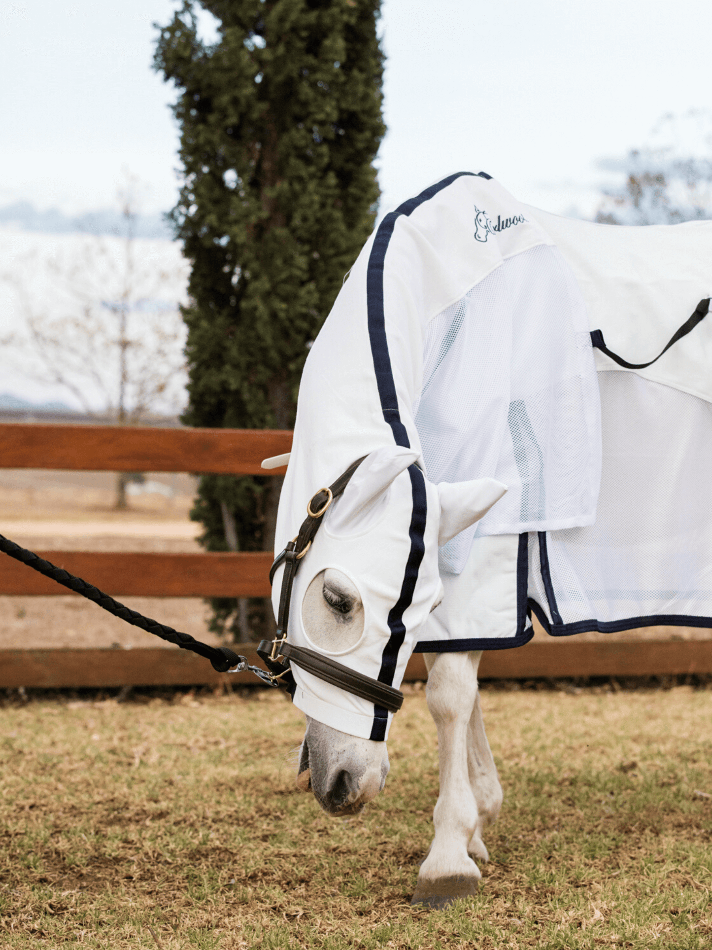 Earlwood White MESH Hood - with EARS