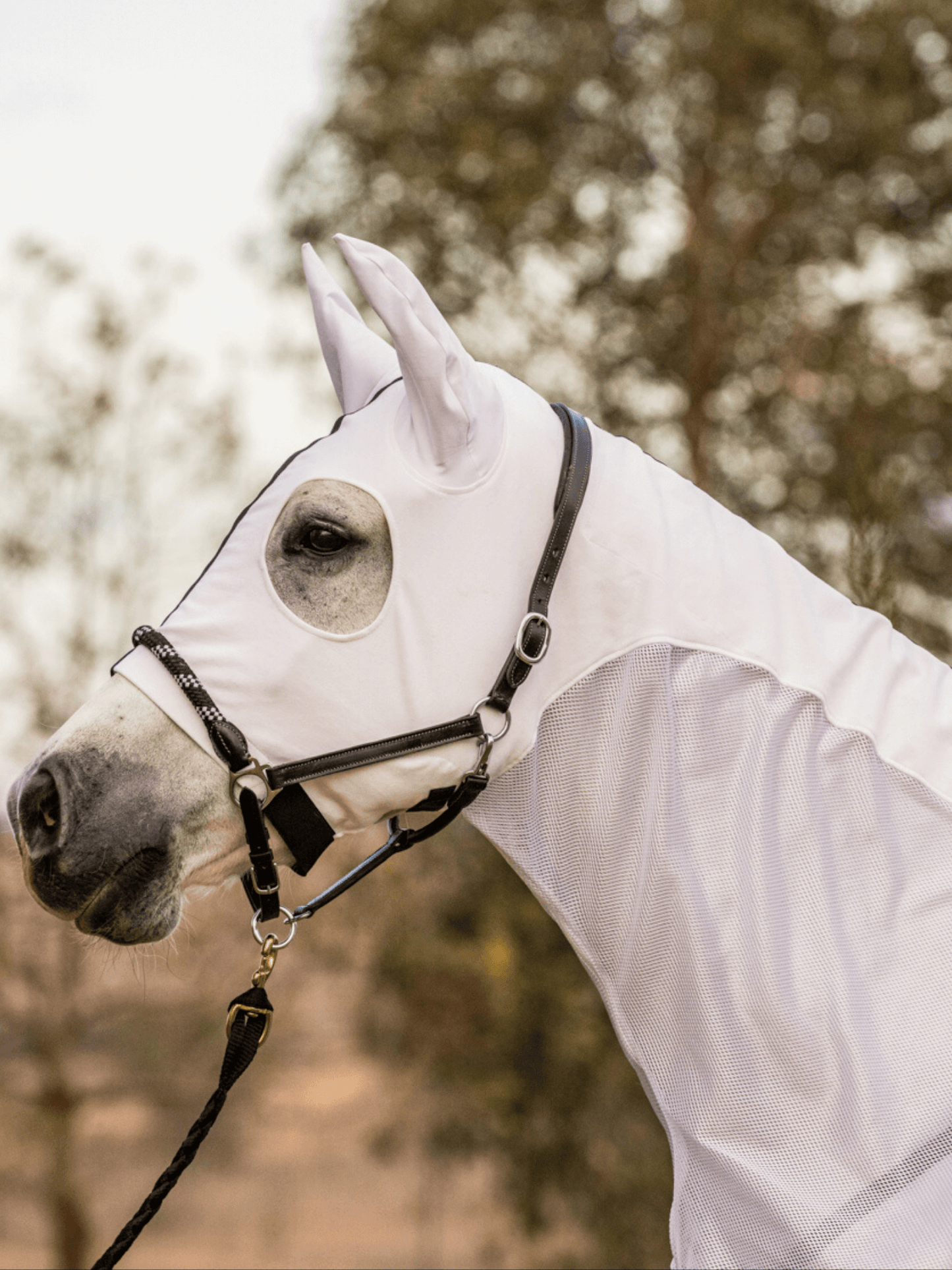 Earlwood White MESH Hood - with EARS