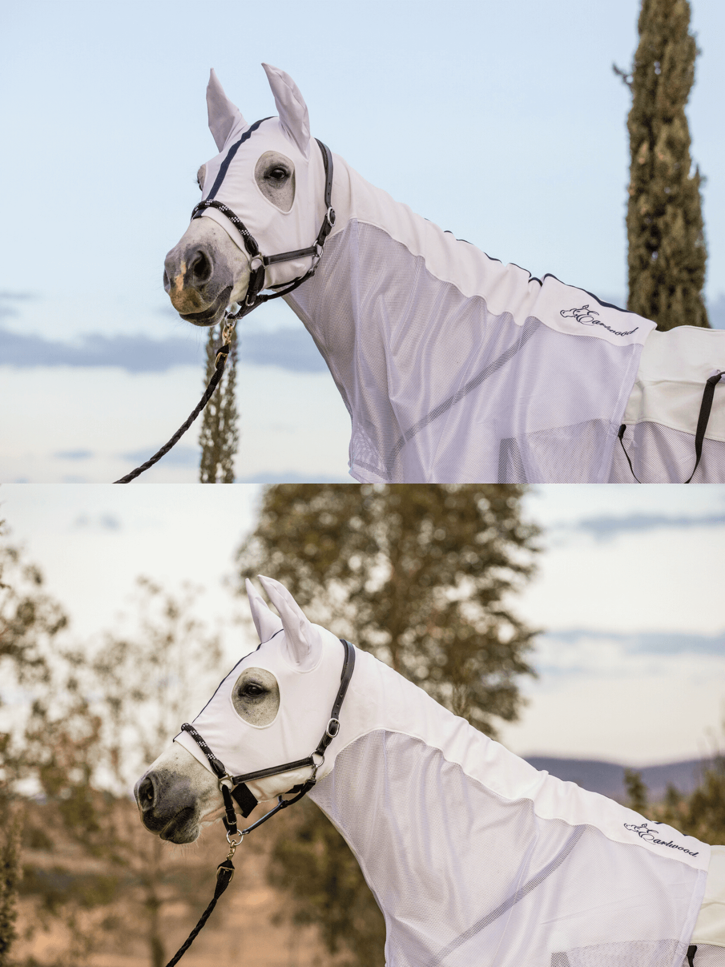 Earlwood White MESH Hood - with EARS