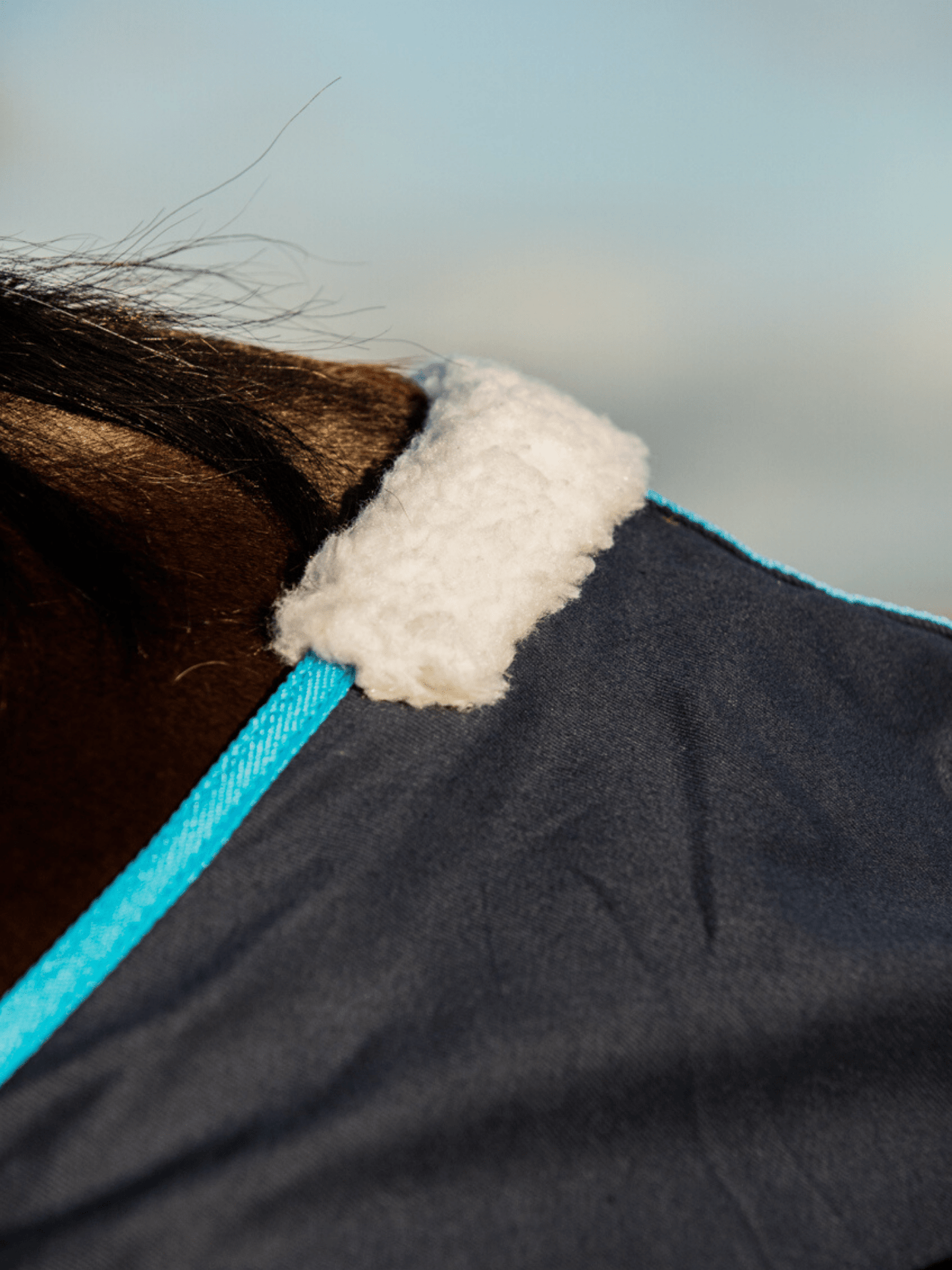 Earlwood Navy-Electric Blue Cotton Show Rug (Rug & Tail Bag only)