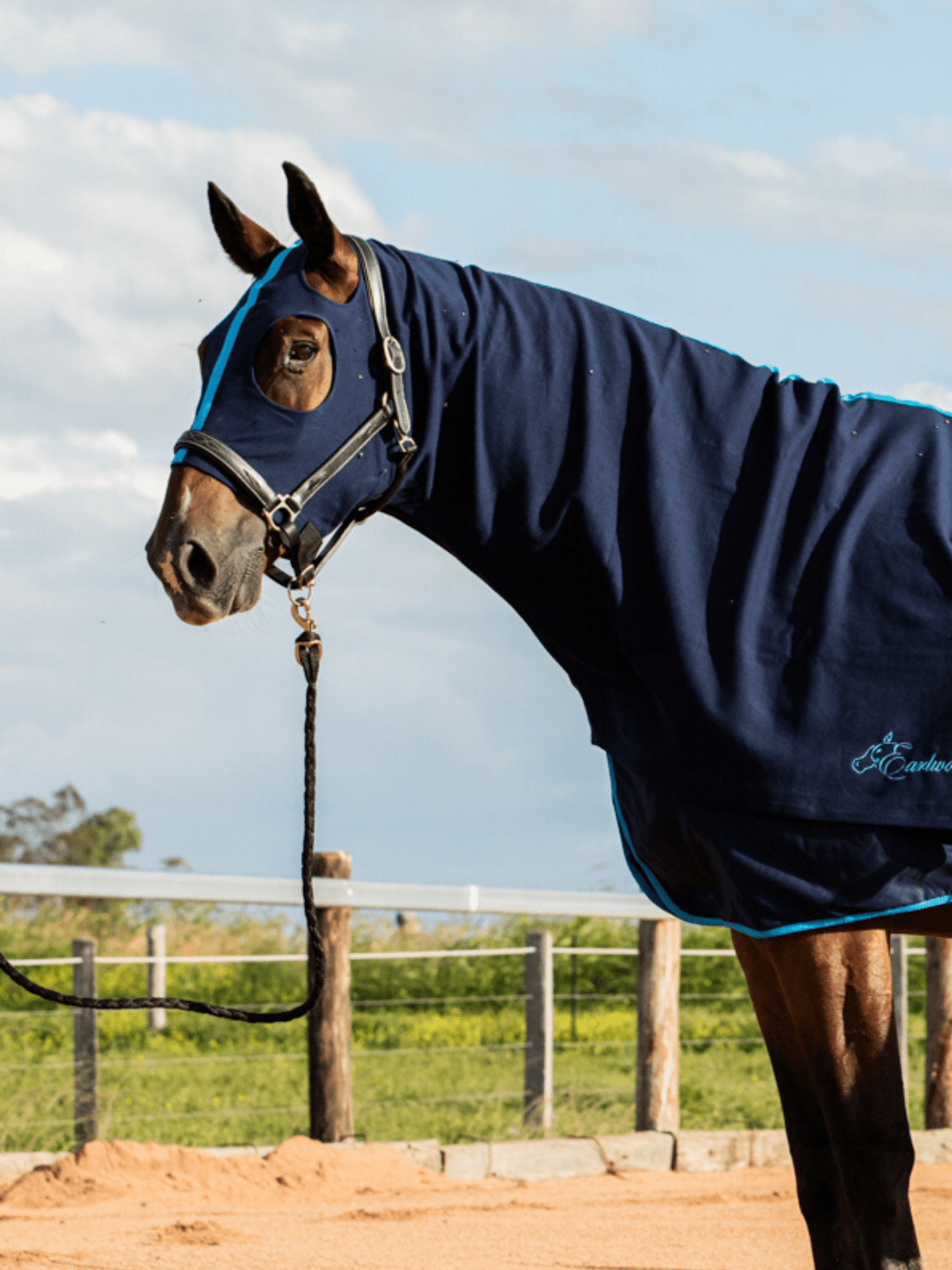 Earlwood Navy/Electric Blue Hood - PULL ON