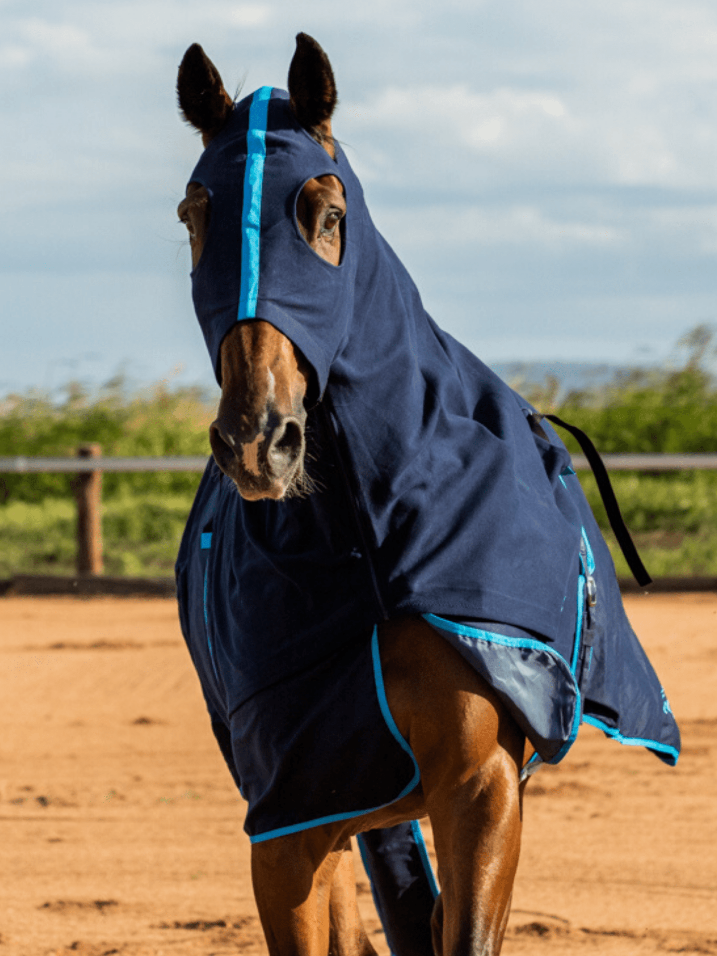 Earlwood Navy/Electric Blue Hood - ZIPPED UP!