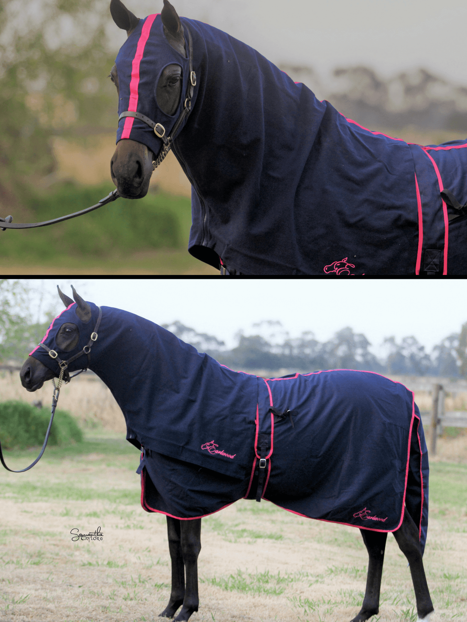 Horses in Earlwood Cotton Show Rug (Head and tail only)