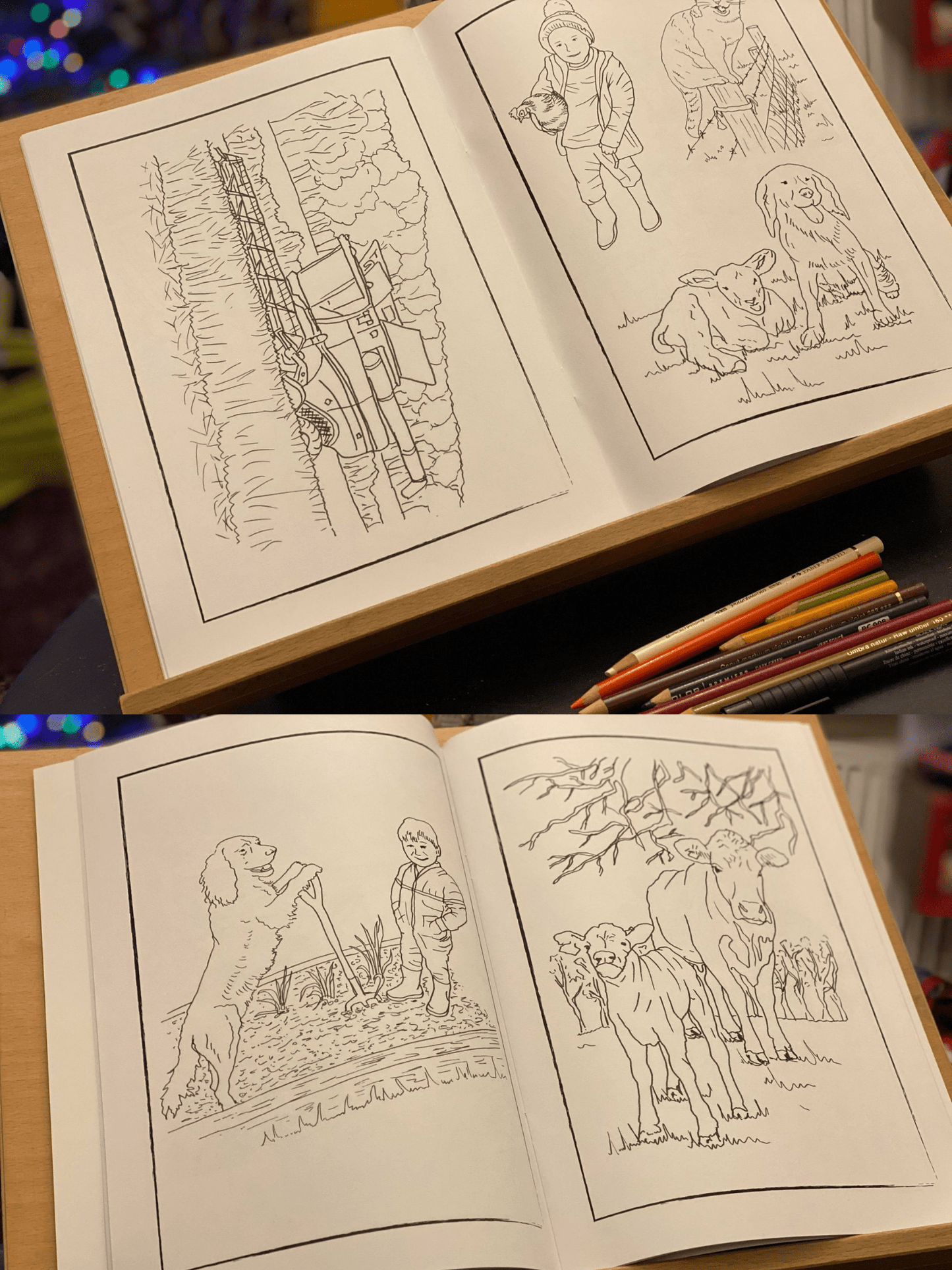 Farm Fun Colouring Book