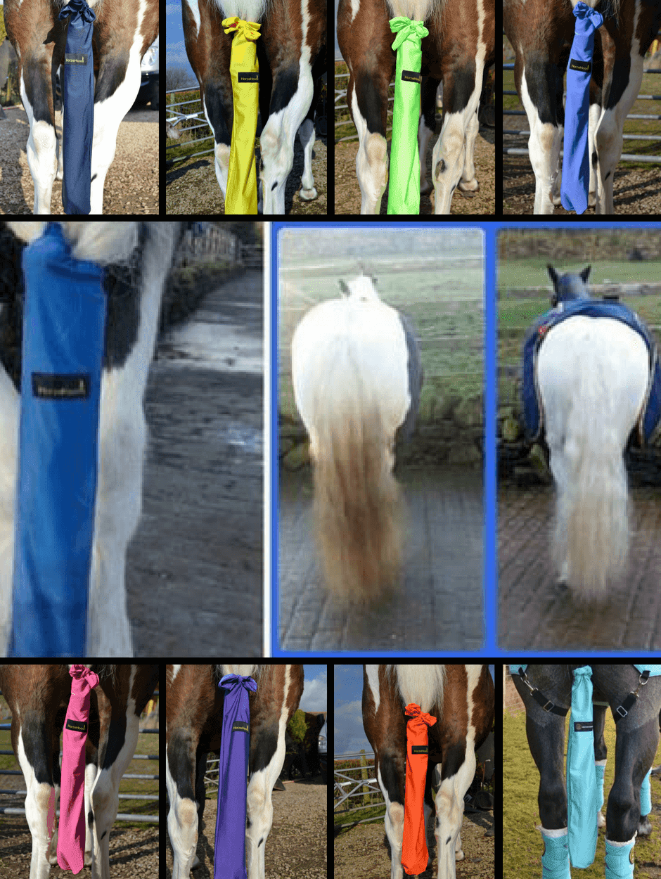 Horses wearing Horzehood Tailbag