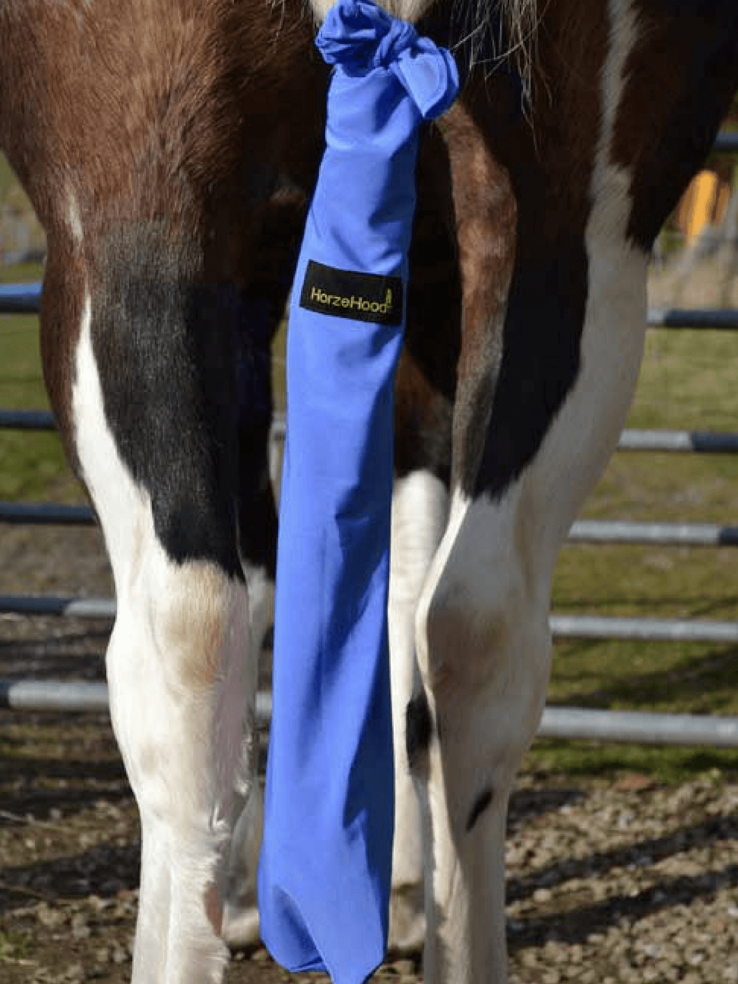 Horse wearing King blue Horzehood Tailbag