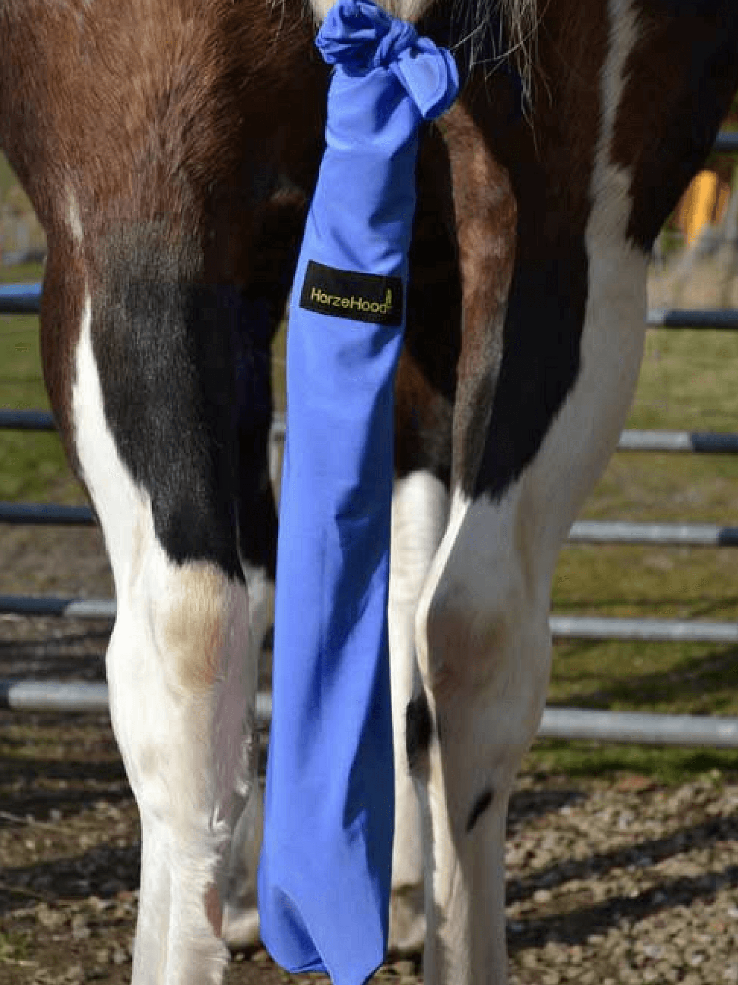 Horse wearing King blue Horzehood Tailbag