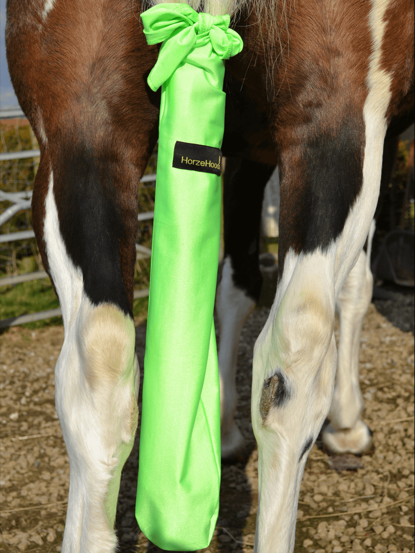 Horse wearing Lime Horzehood Tailbag