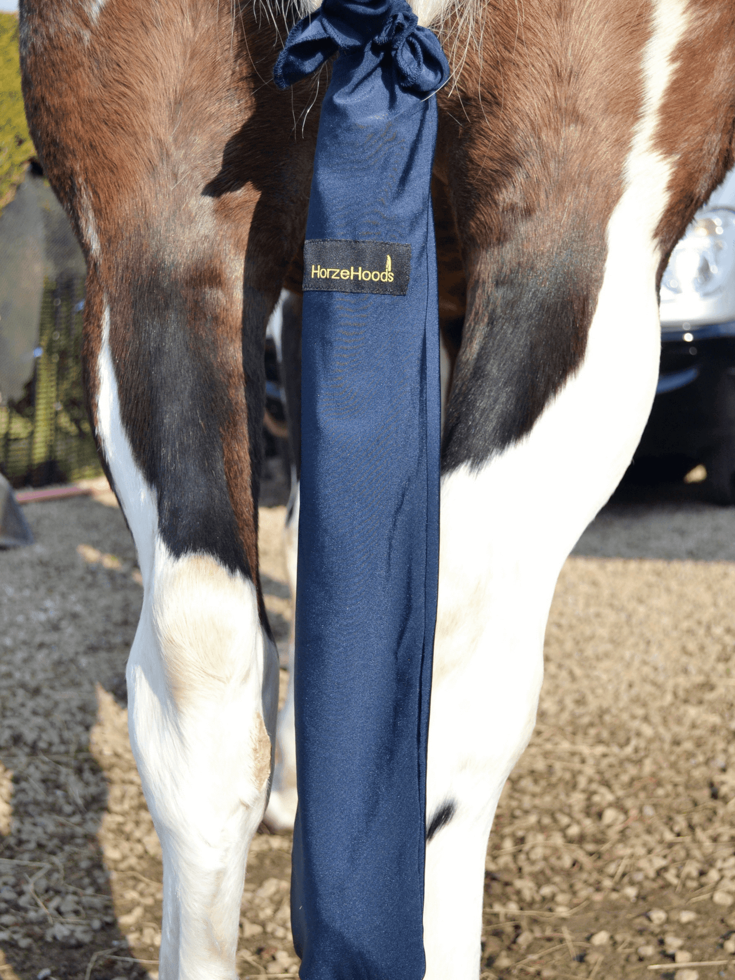 Horse wearing Navy Horzehood Tailbag