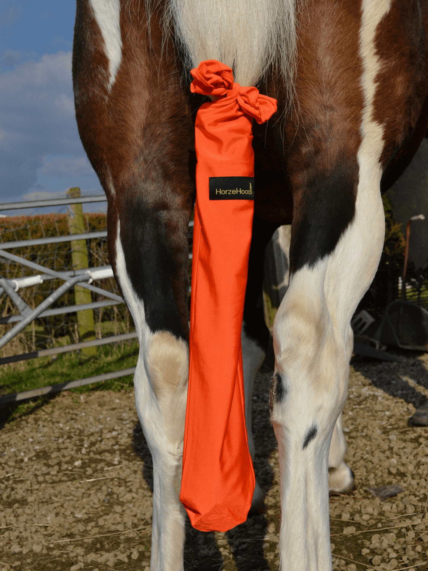 Horse wearing Red Horzehood Tailbag