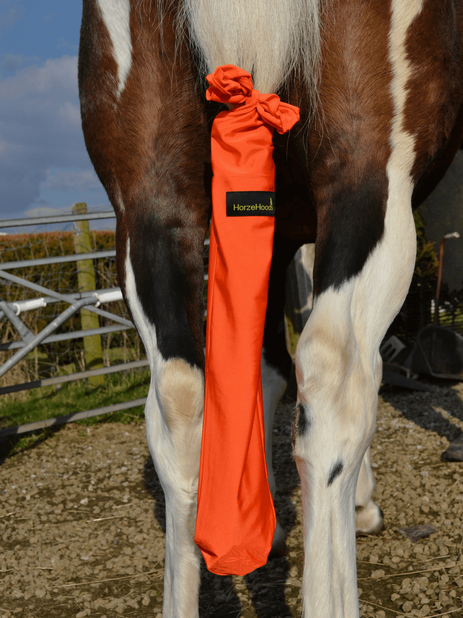 Horse wearing Red Horzehood Tailbag