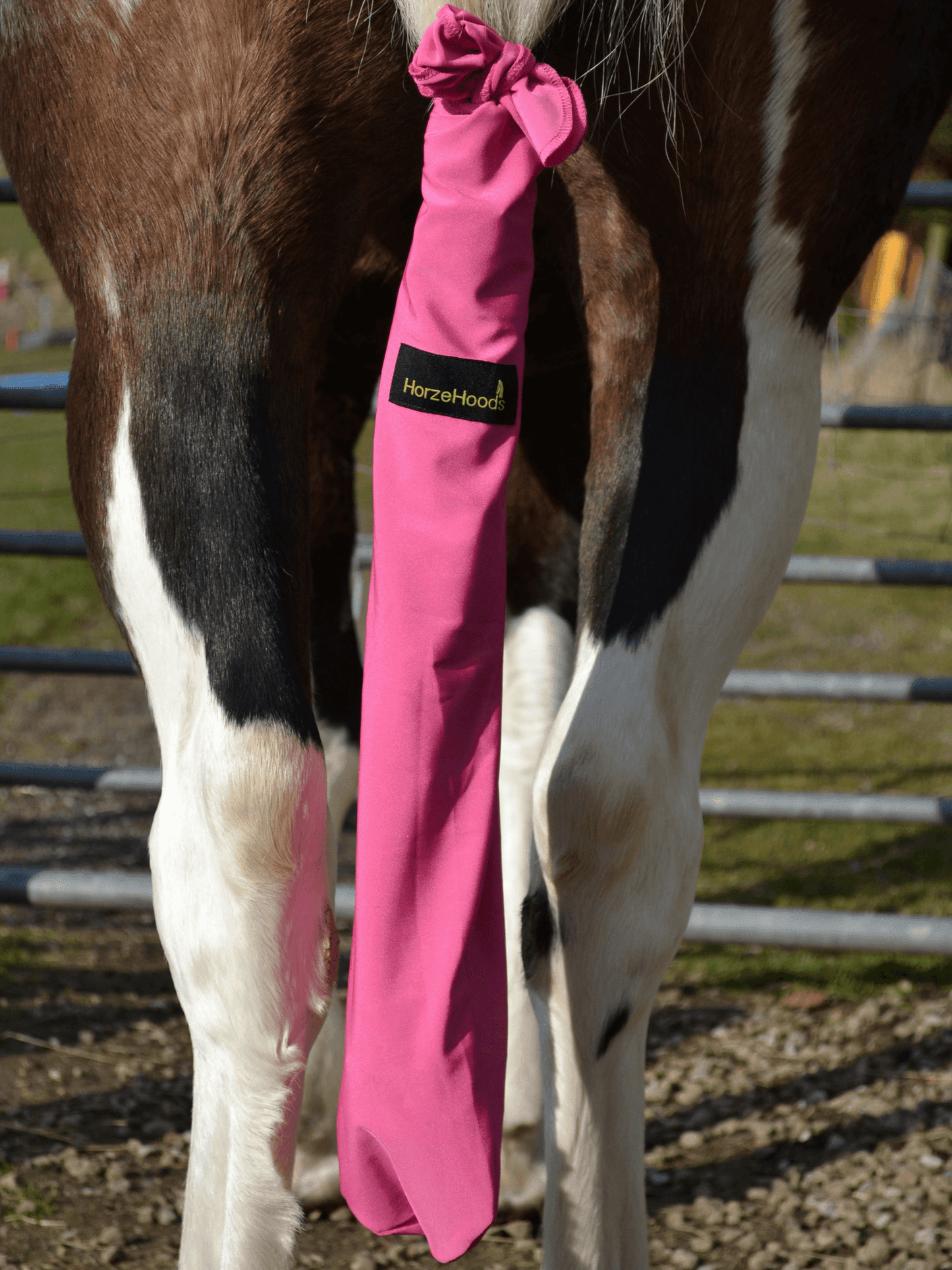 Horse wearing Hot pink Horzehood Tailbag