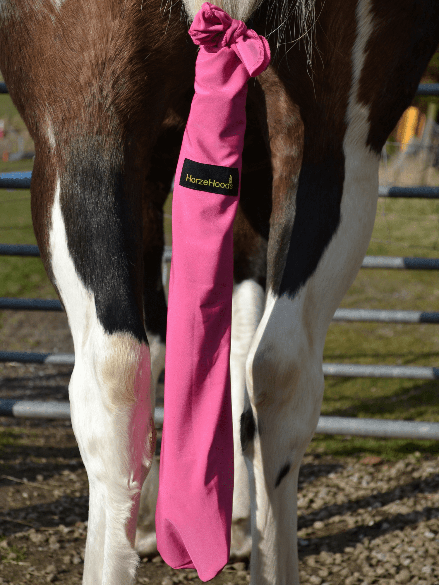 Horse wearing Hot pink Horzehood Tailbag