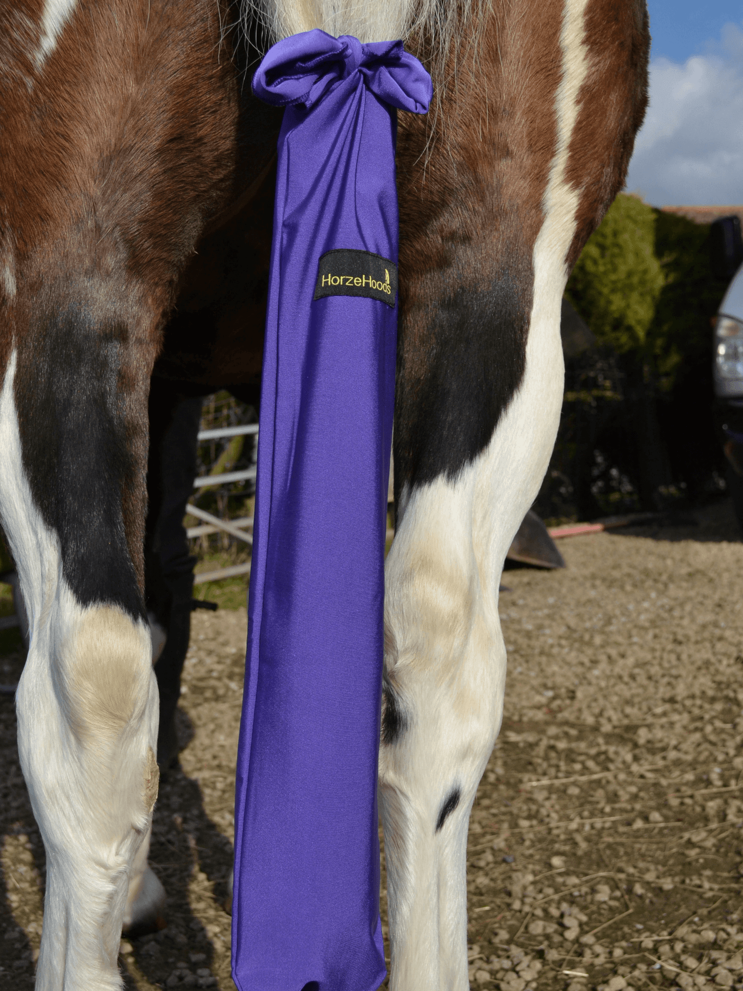 Horse wearing Purple Horzehood Tailbag