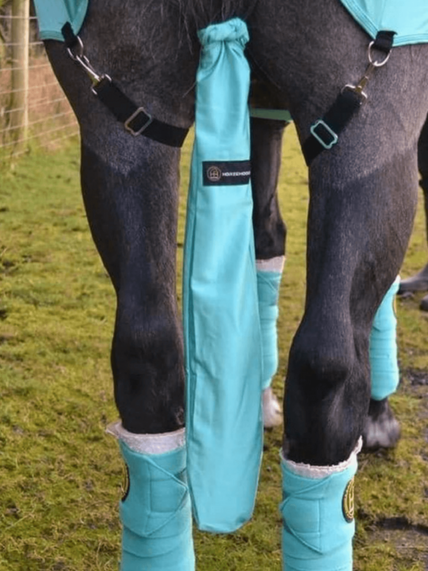 Horse wearing Turquoise Horzehood Tailbag