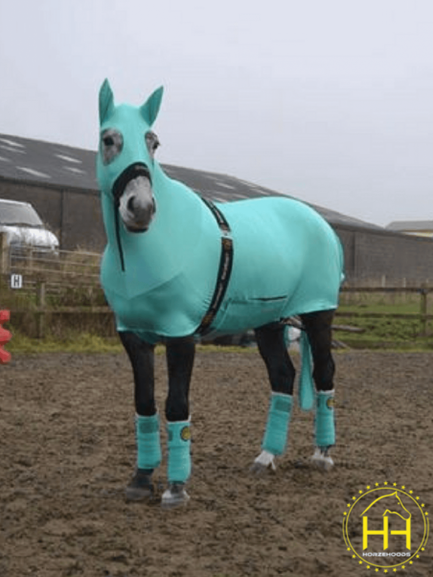Horse wearing Turquoise HorzeBodz with EARS
