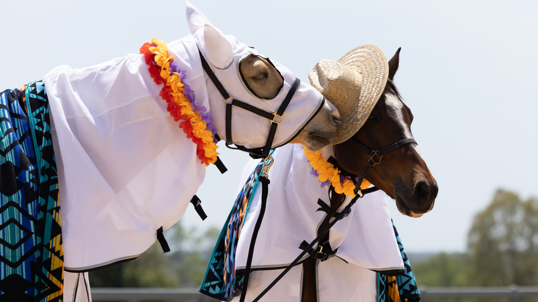 Earlwood Flag Rugs - how and why they're a summer essential.
