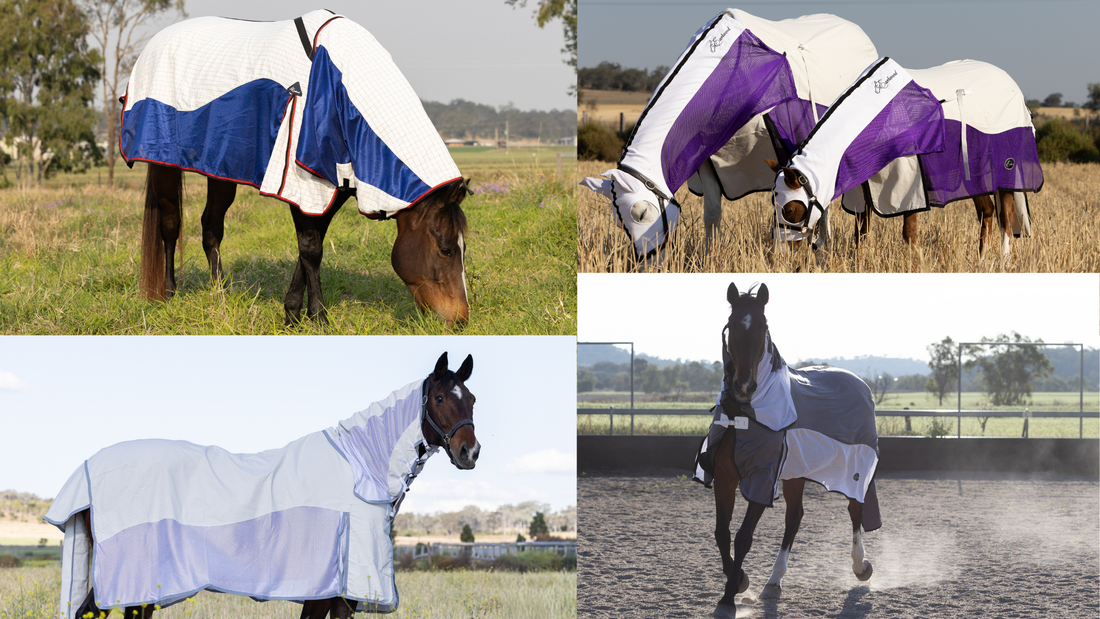 Which MESH rug for your horse this Summer?