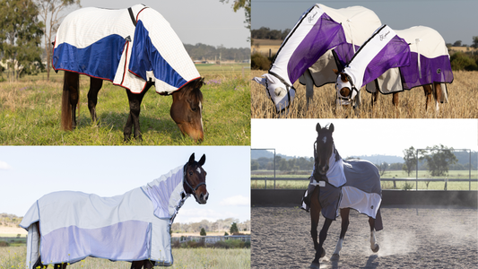 Which MESH rug for your horse this Summer?