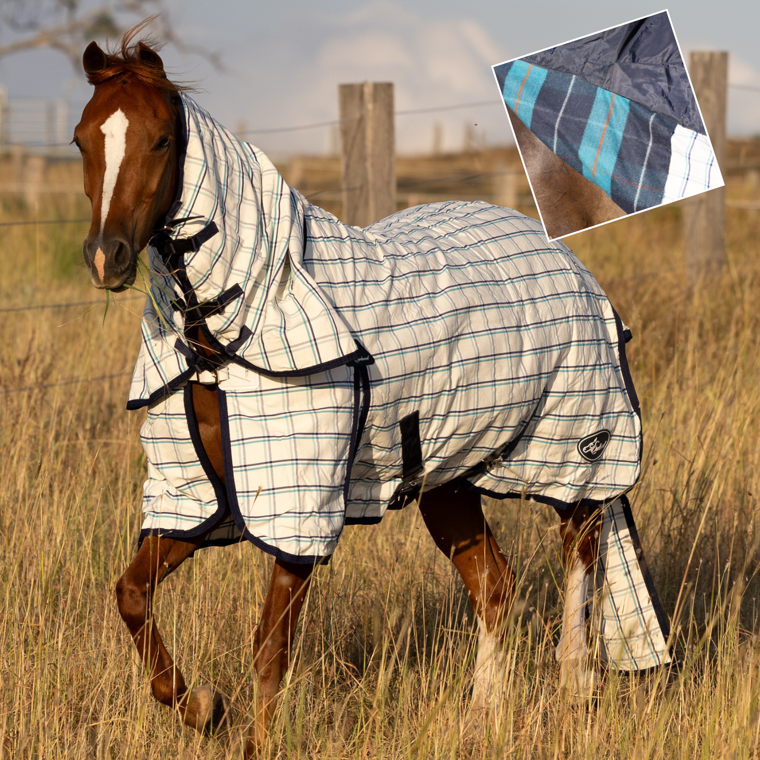 Earlwood Original Dual Season Horse Rug