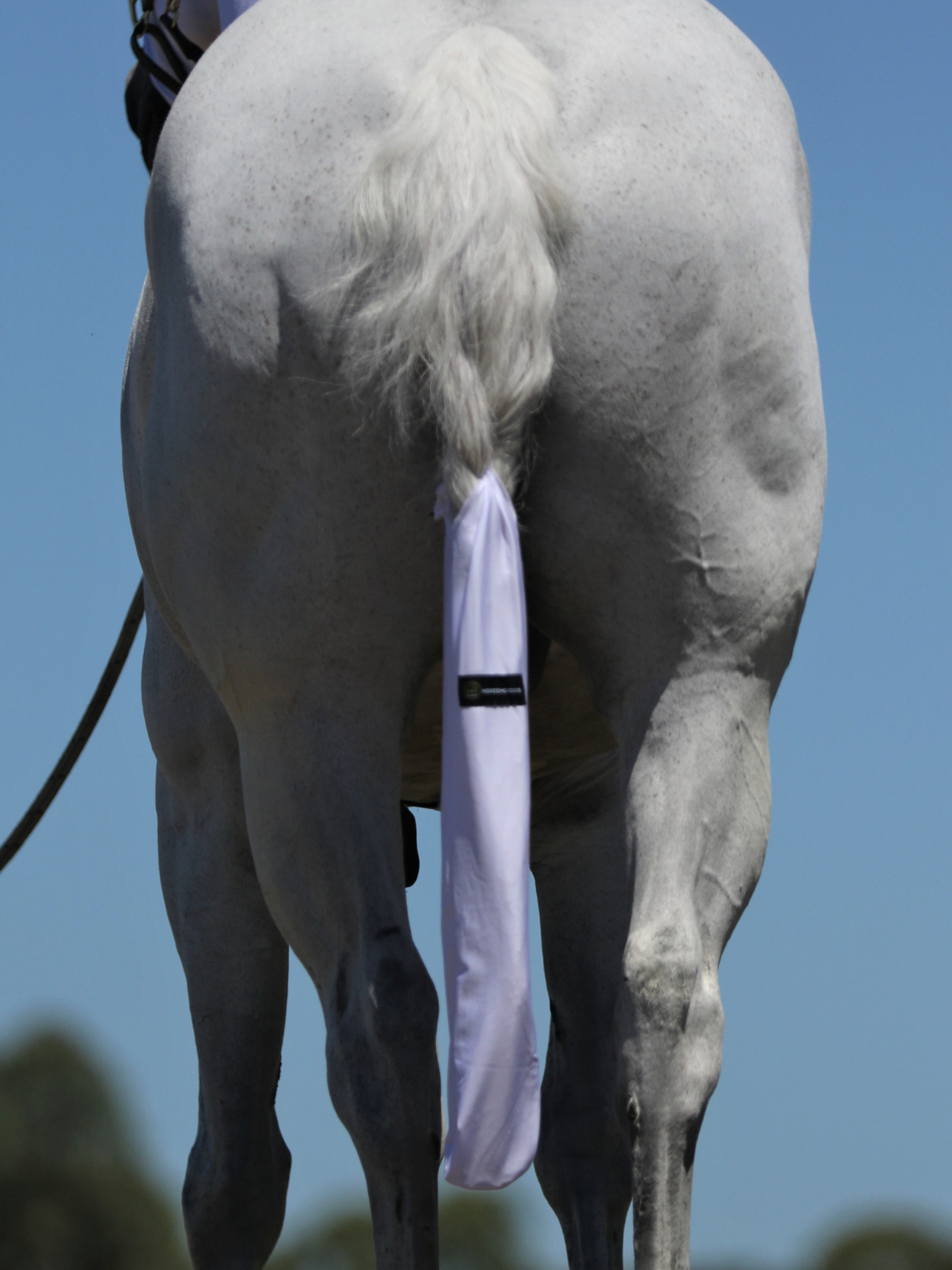 Horzehoods Tail Bags