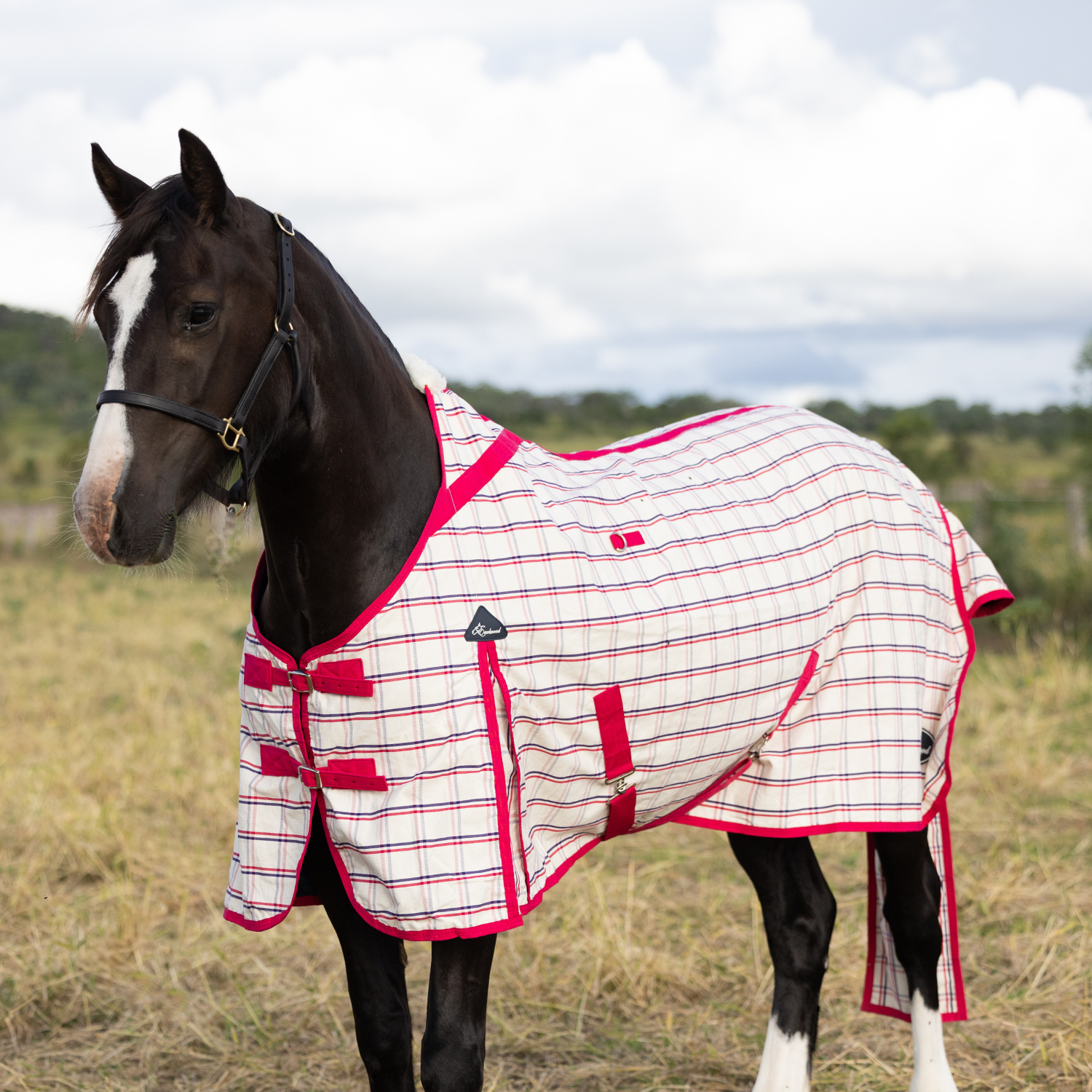 Ripstop paddock rugs