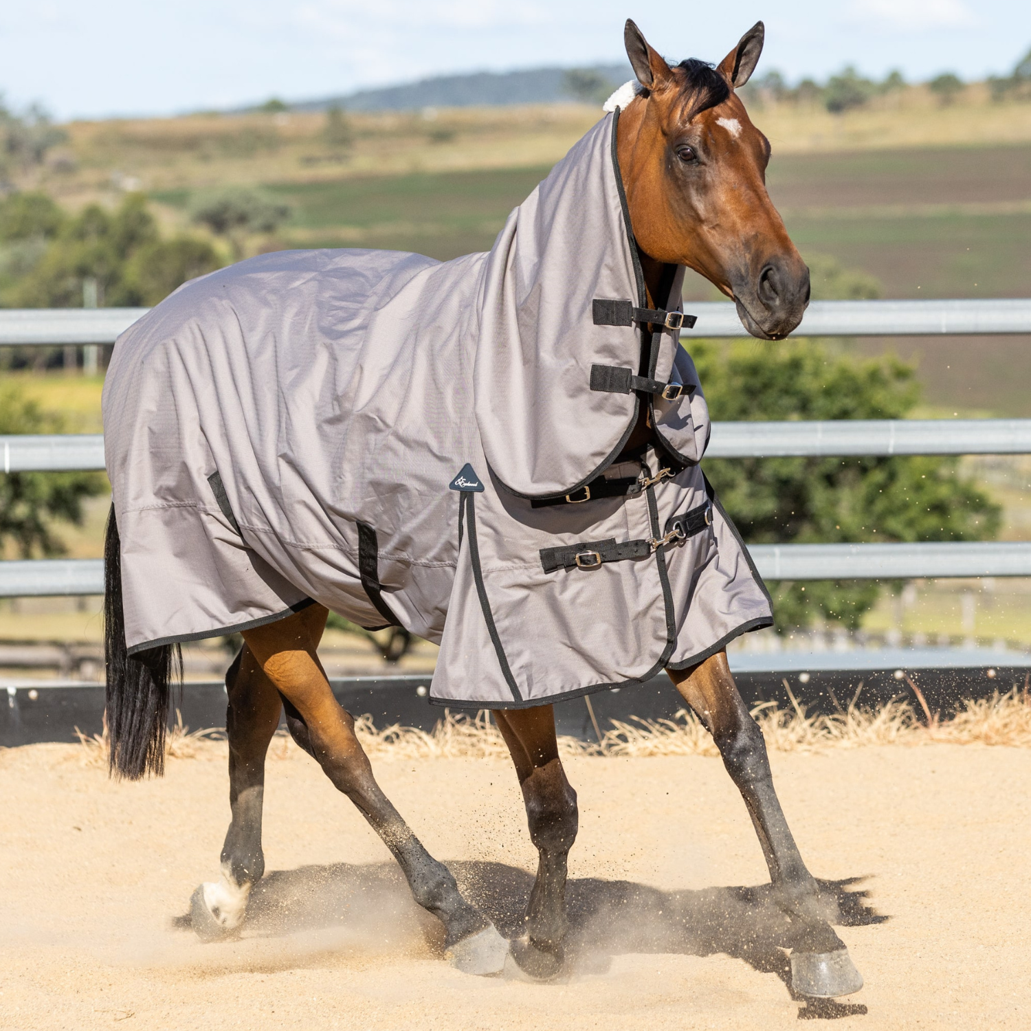 Waterproof Rugs