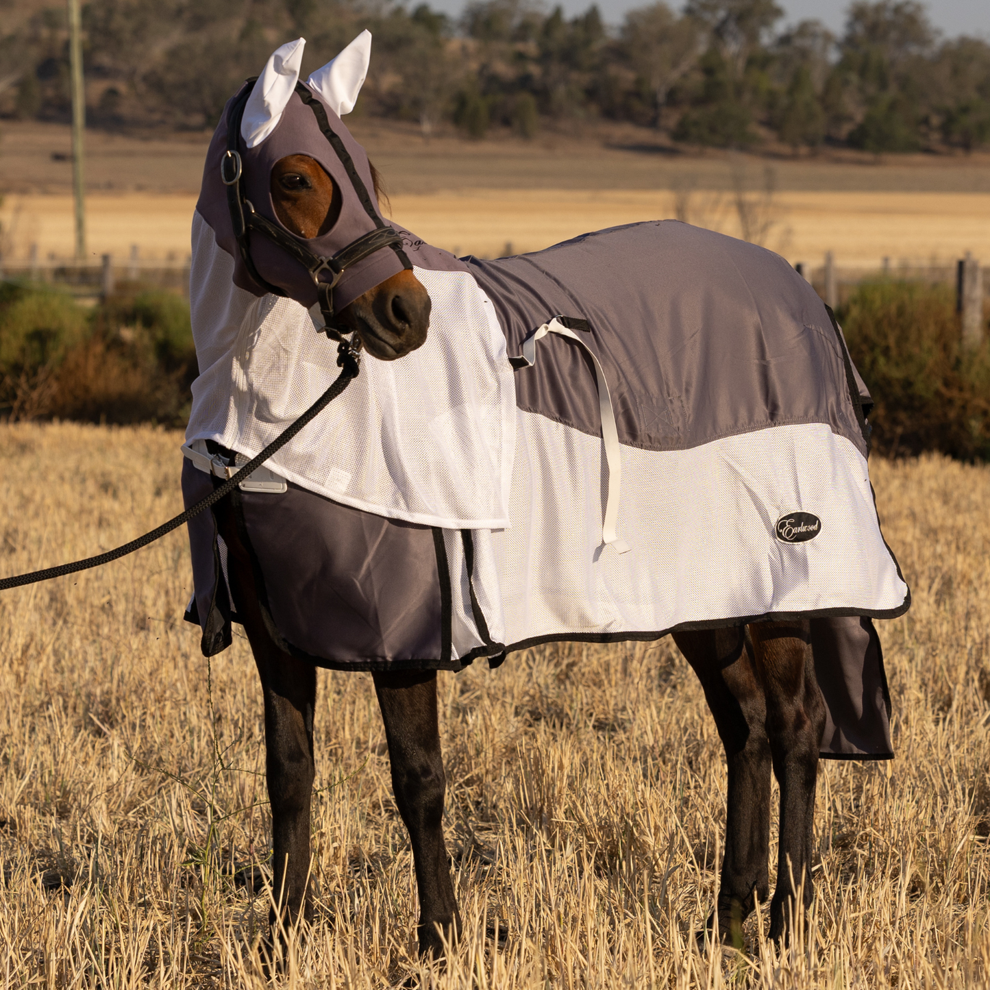 PREORDER Earlwood Brolga Mesh Show Rug