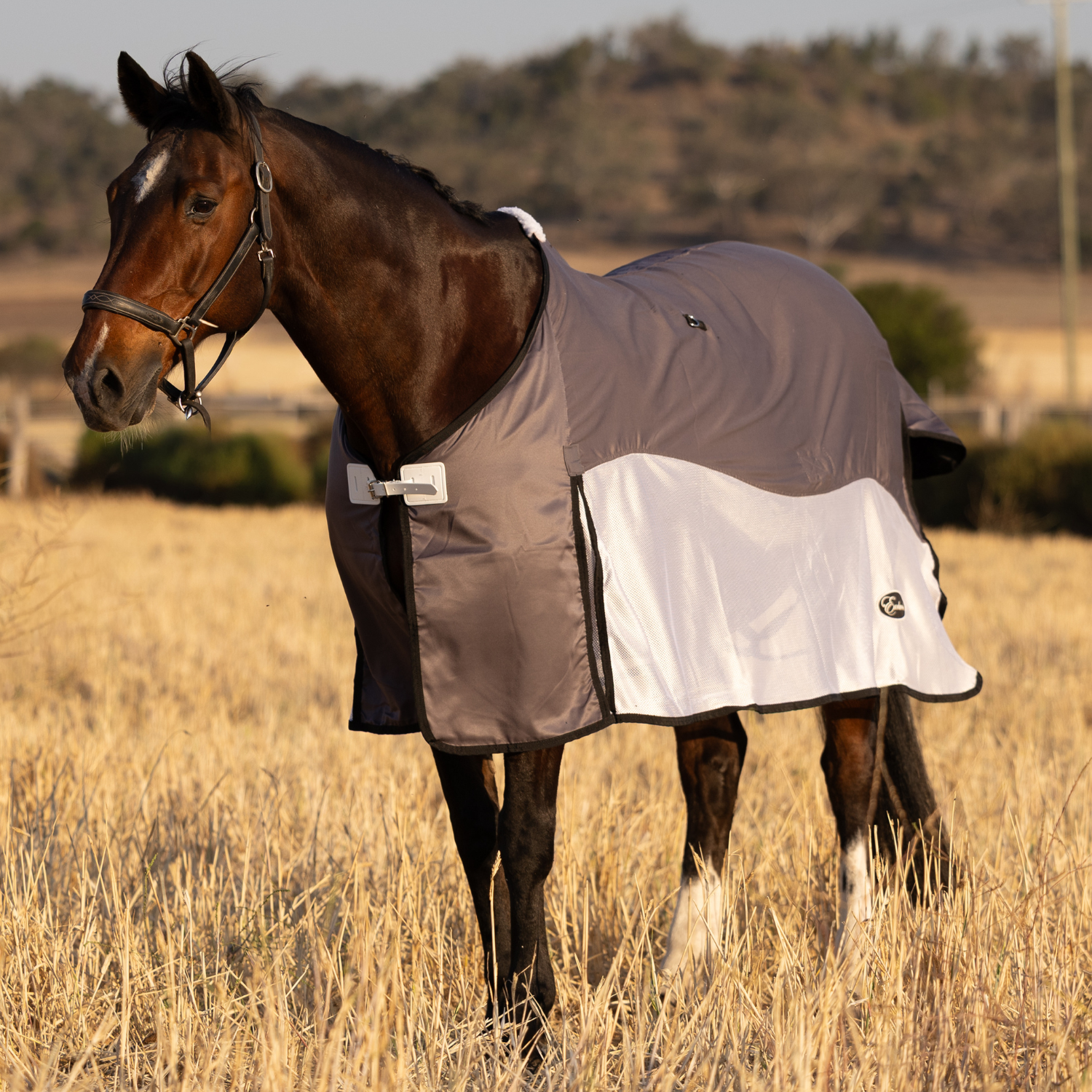 Earlwood Brolga Mesh Show Rug – Earlwood Equine