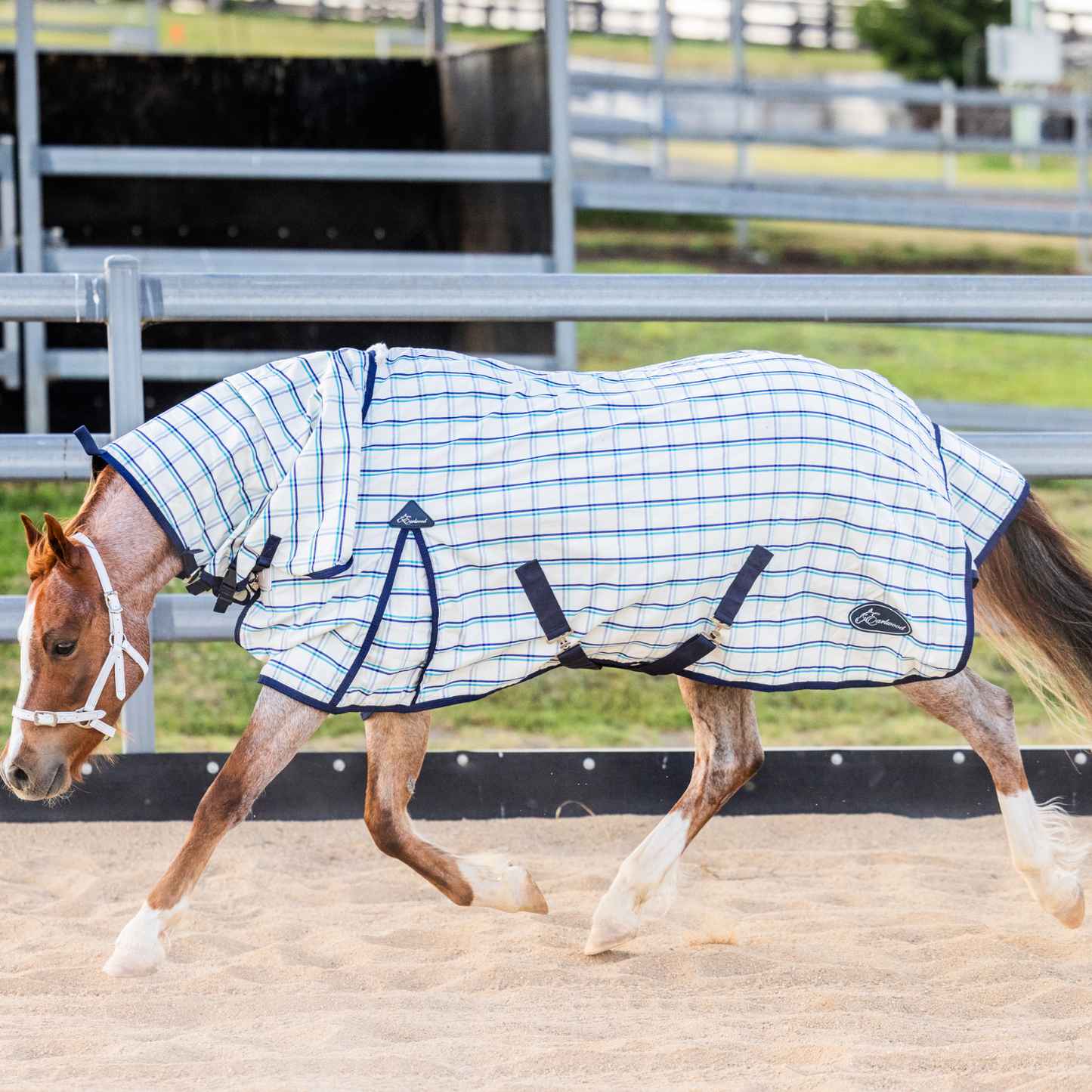 Earlwood Dual Season FLEECE Lined Combo