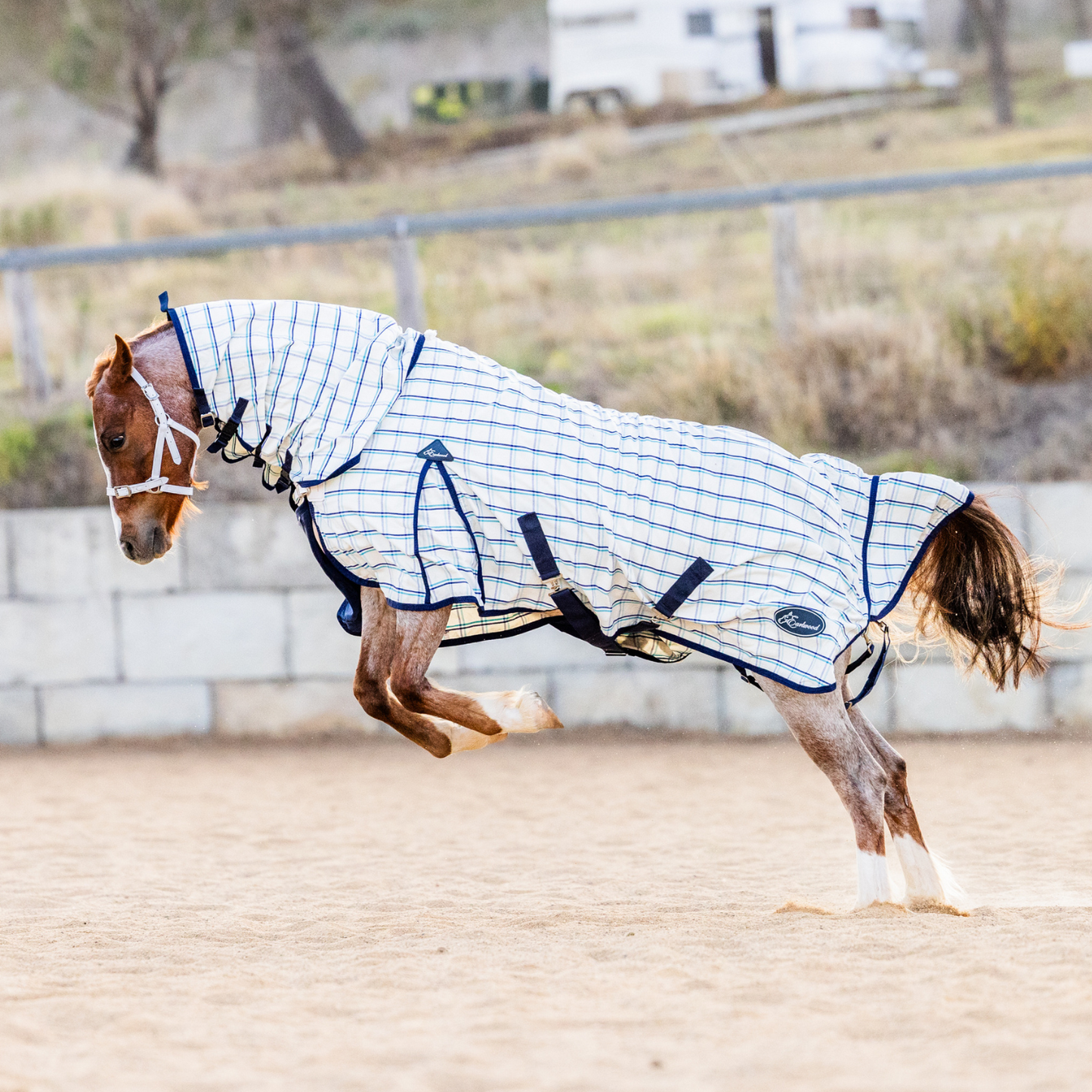 Earlwood Dual Season FLEECE Lined Combo