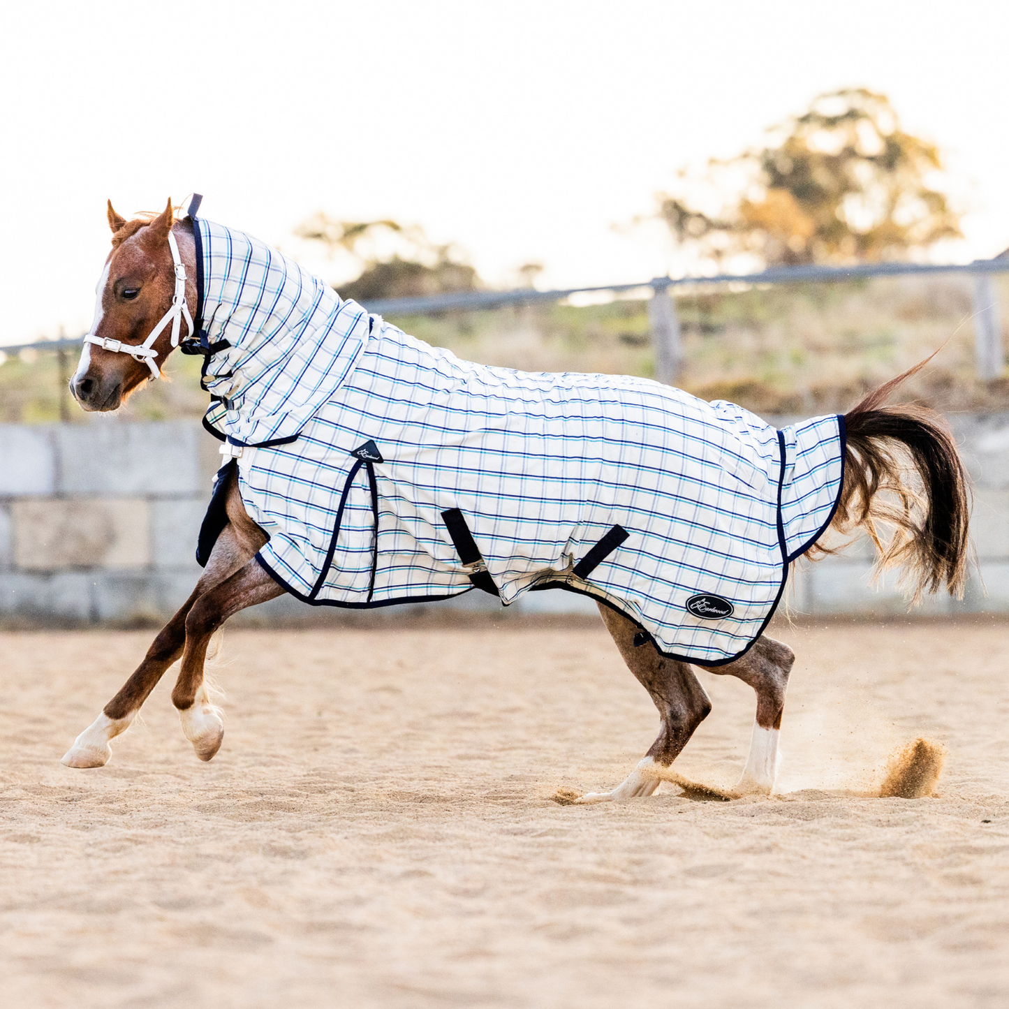 Earlwood Dual Season FLEECE Lined Combo