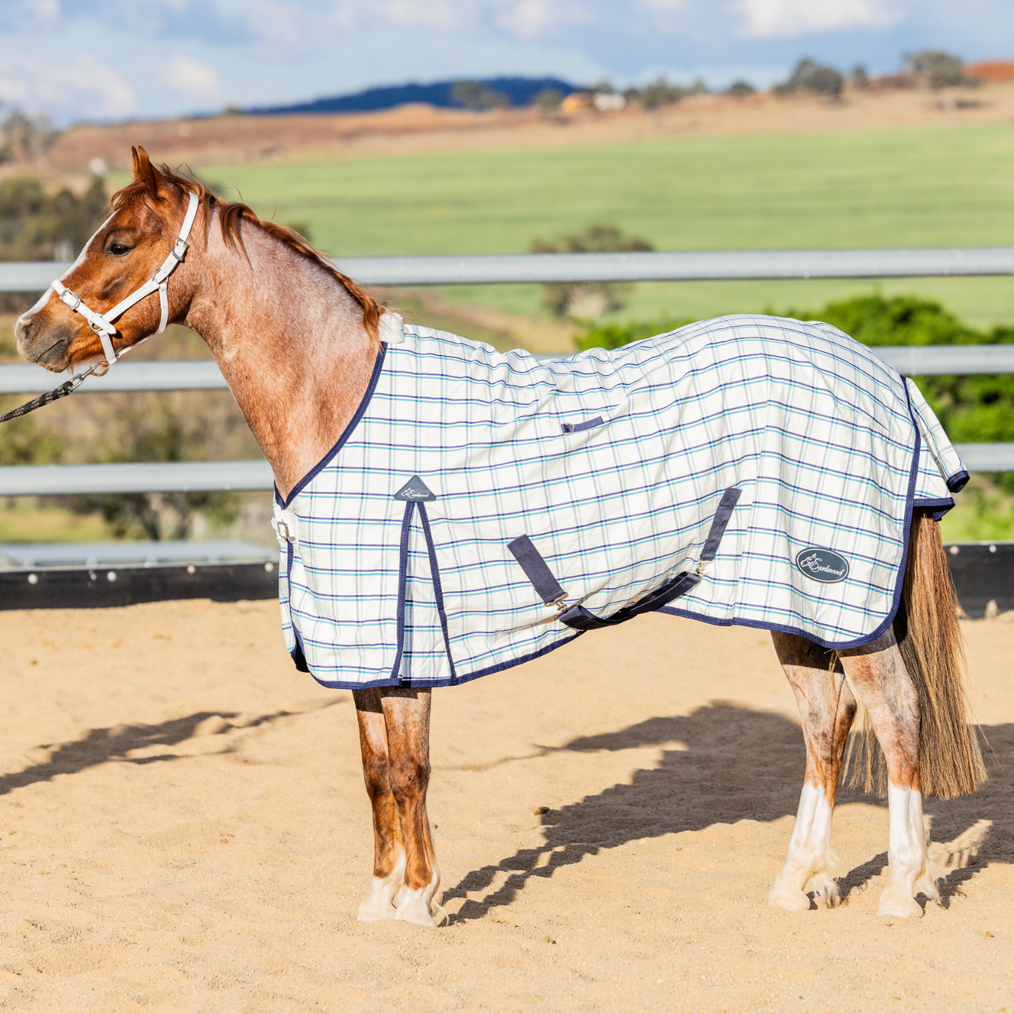 Earlwood Dual Season WOOL Lined Rug