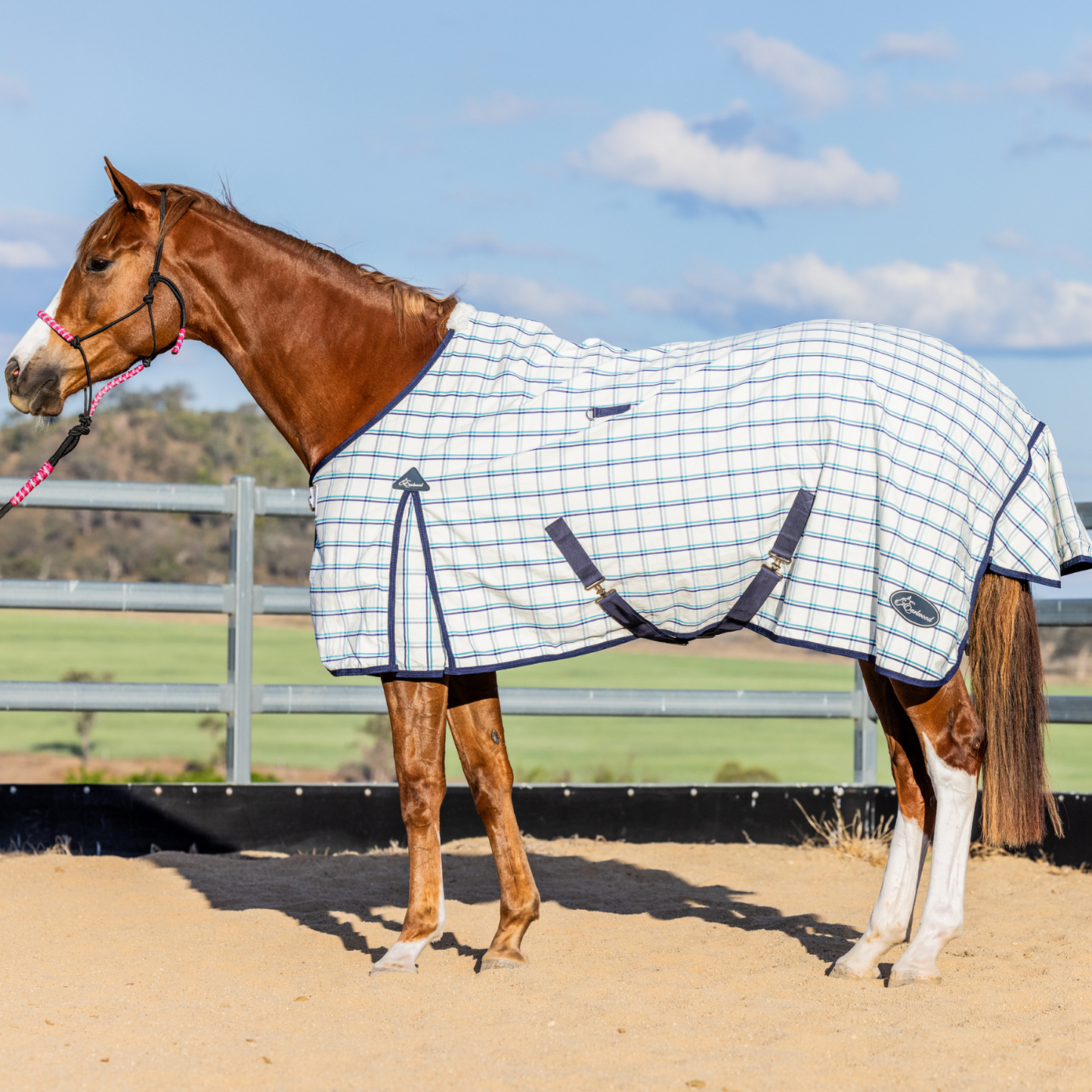 Earlwood Dual Season FLEECE Lined Rug