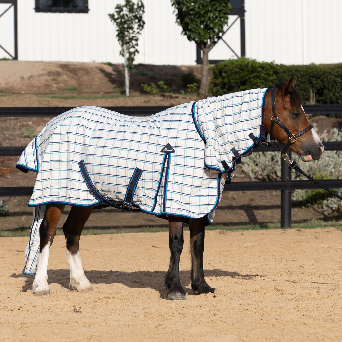 The Original Earlwood Dual Season WOOL Lined Combo